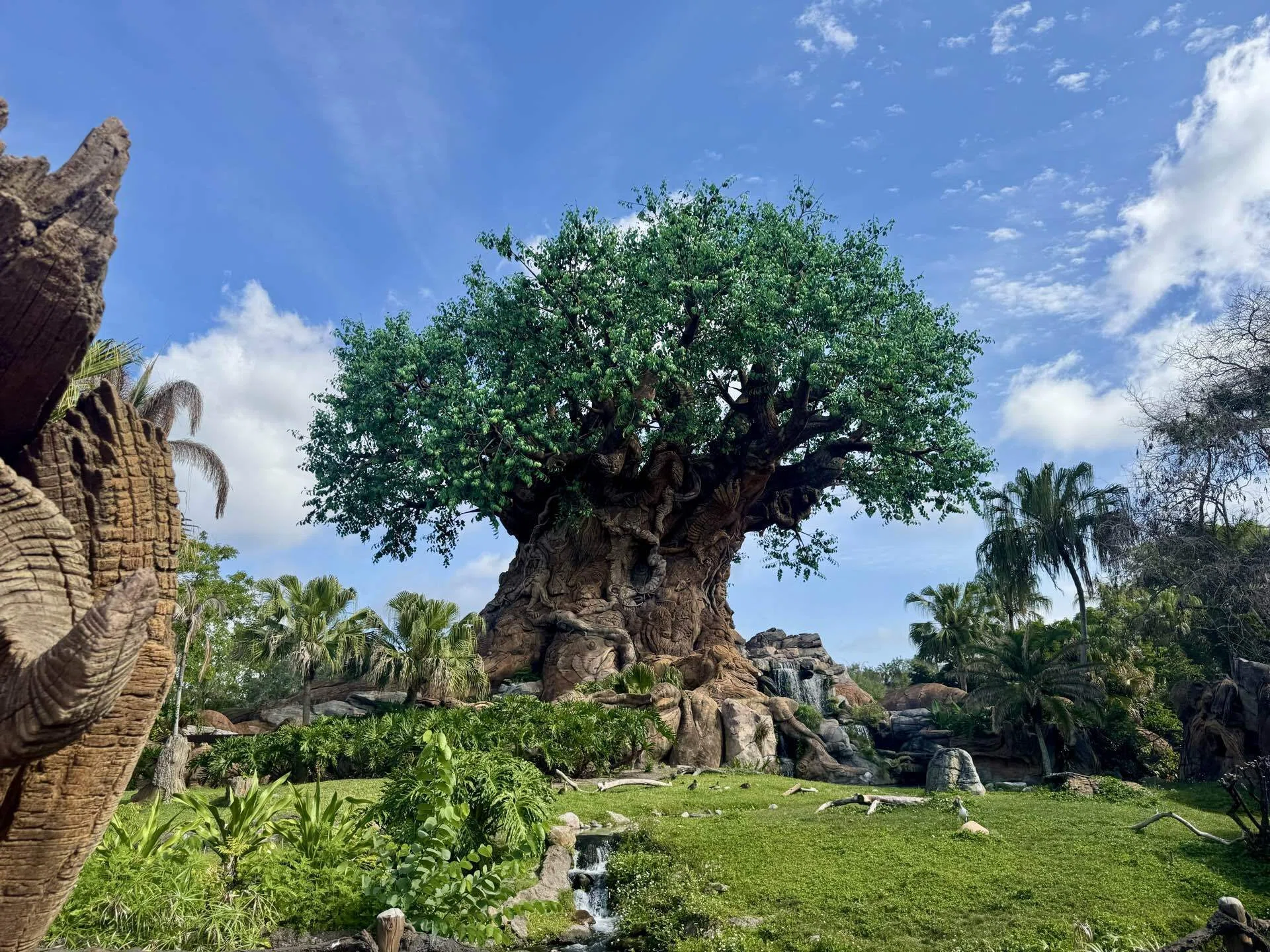 Disney's Animal kingdom at Disney World ［Florida & New York 2026