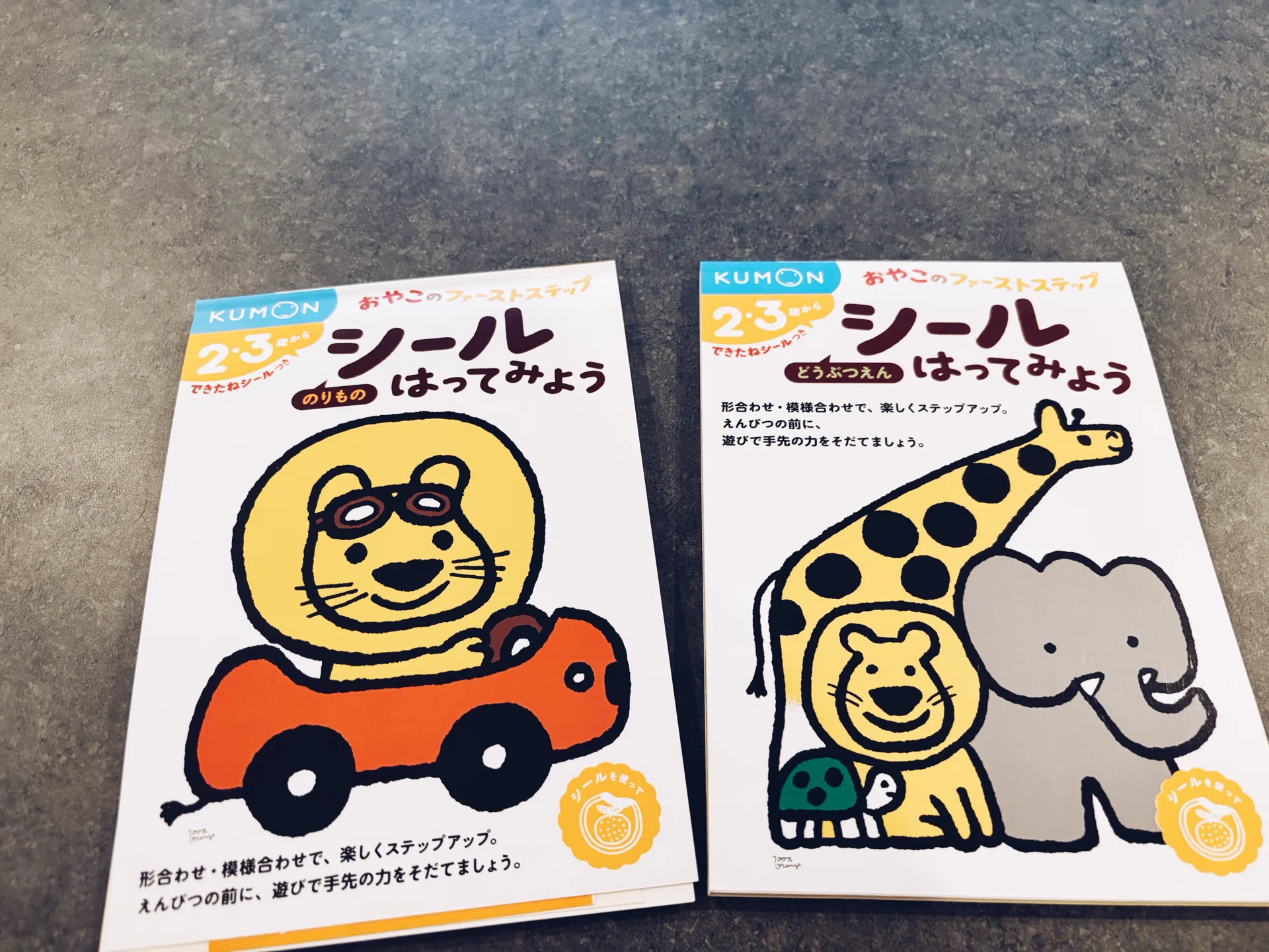 義母からの1冊から始まった「市販ワーク」沼。20冊以上試して辿り着