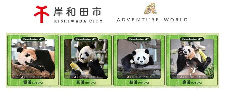 大阪・関西万博で展示された、アドベンチャーワールドに飼育されていた