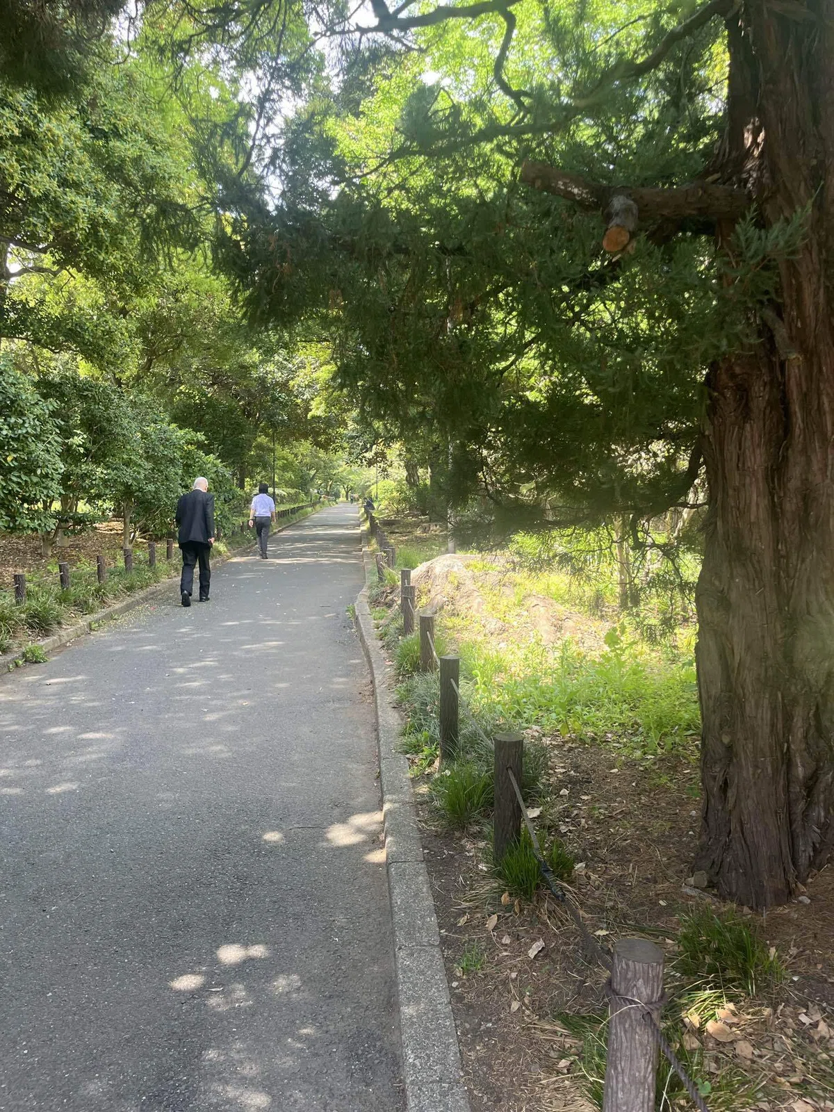 九段下駅近くにある北の丸公園内の武道館から科学技術館へ行く道の画像