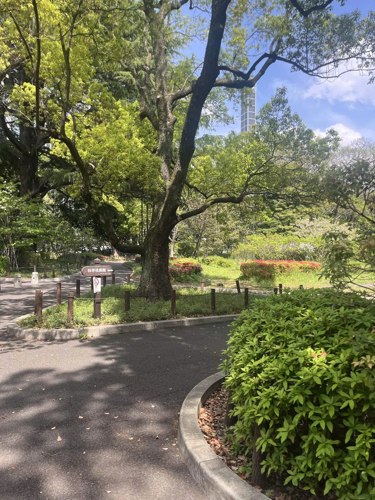 九段下駅近くにある北の丸公園内の武道館から科学技術館へ行く道の画像