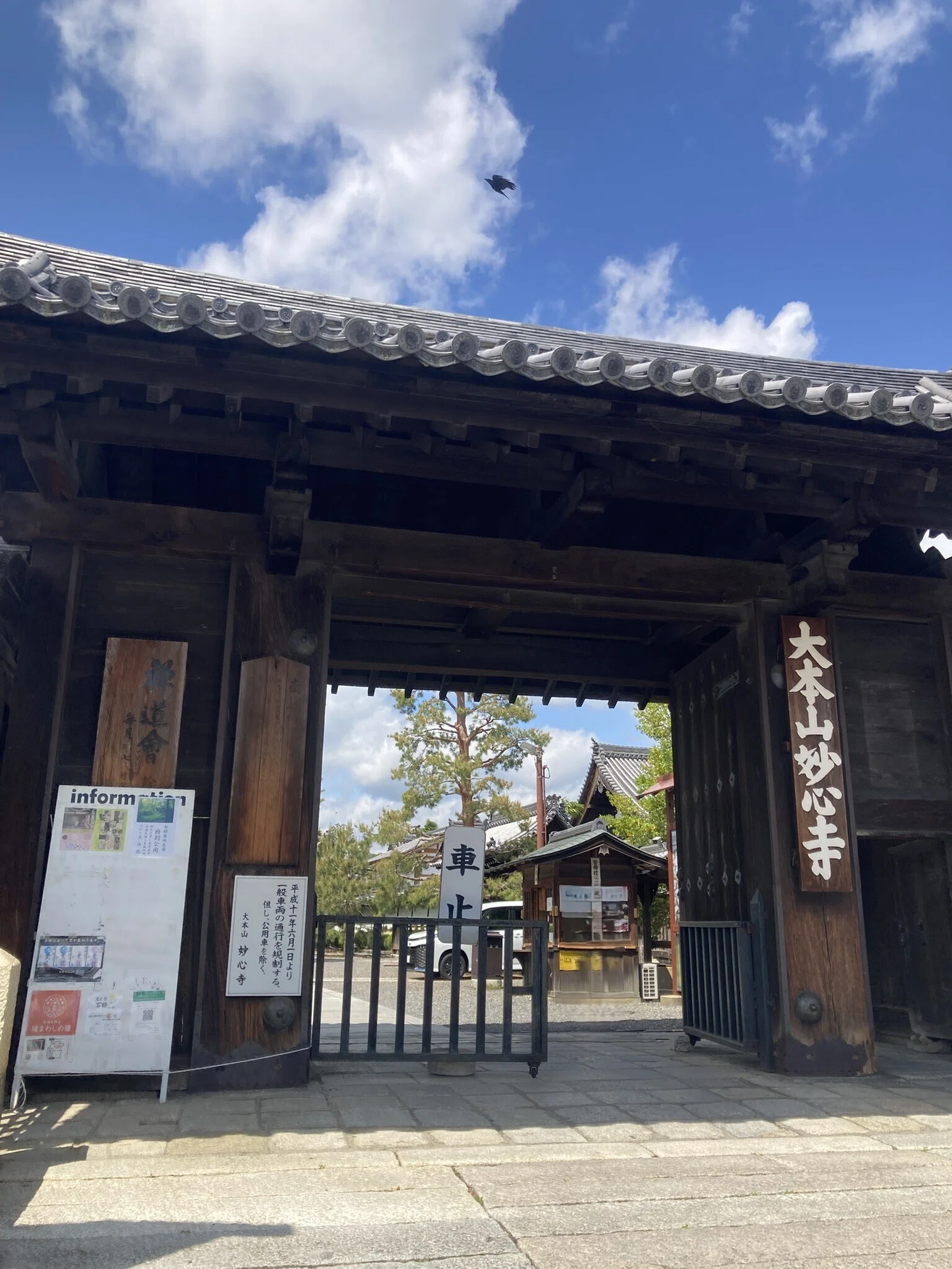 妙心寺①（20260427）｜やまいつ