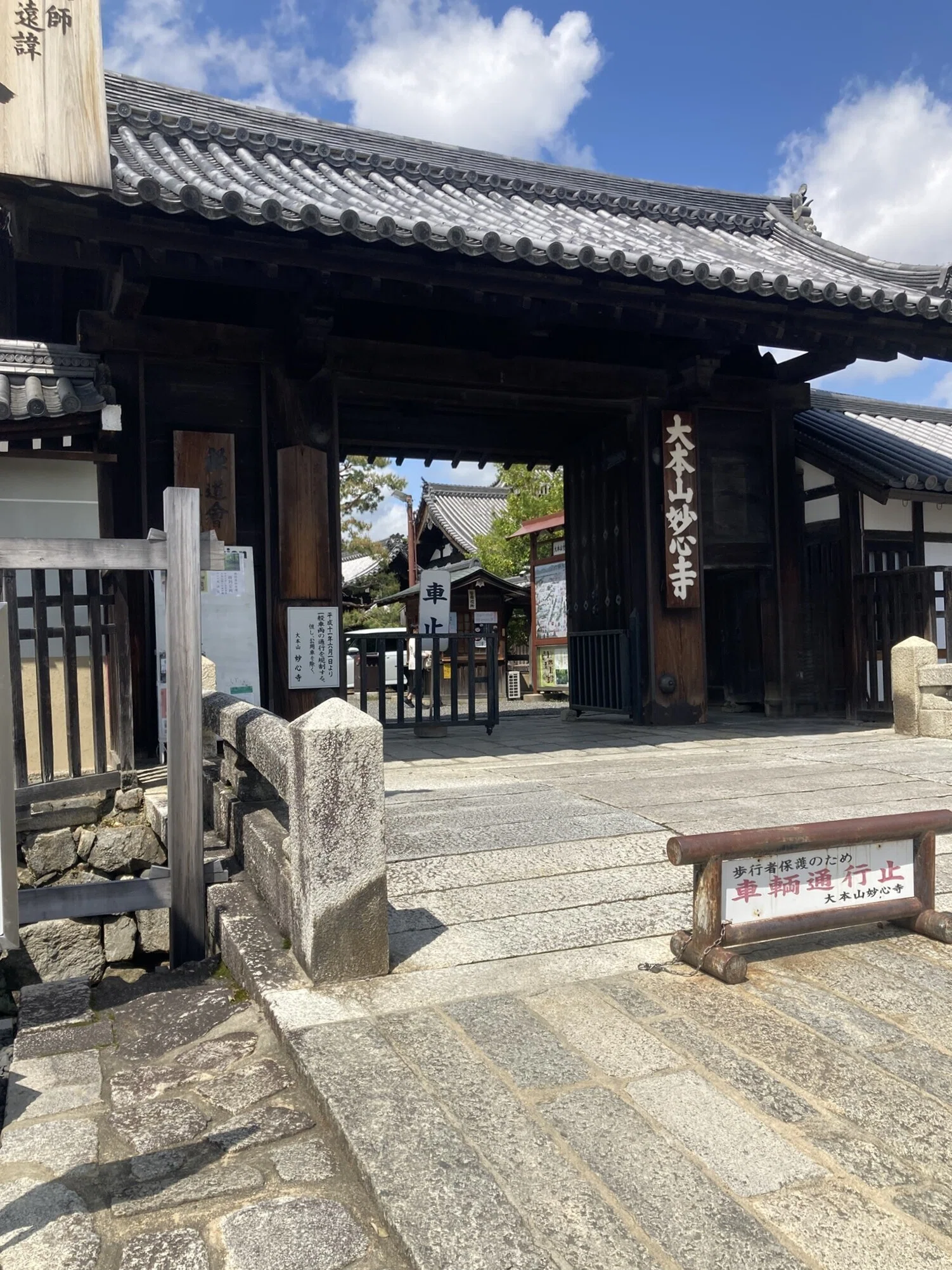 妙心寺①（20260427）｜やまいつ