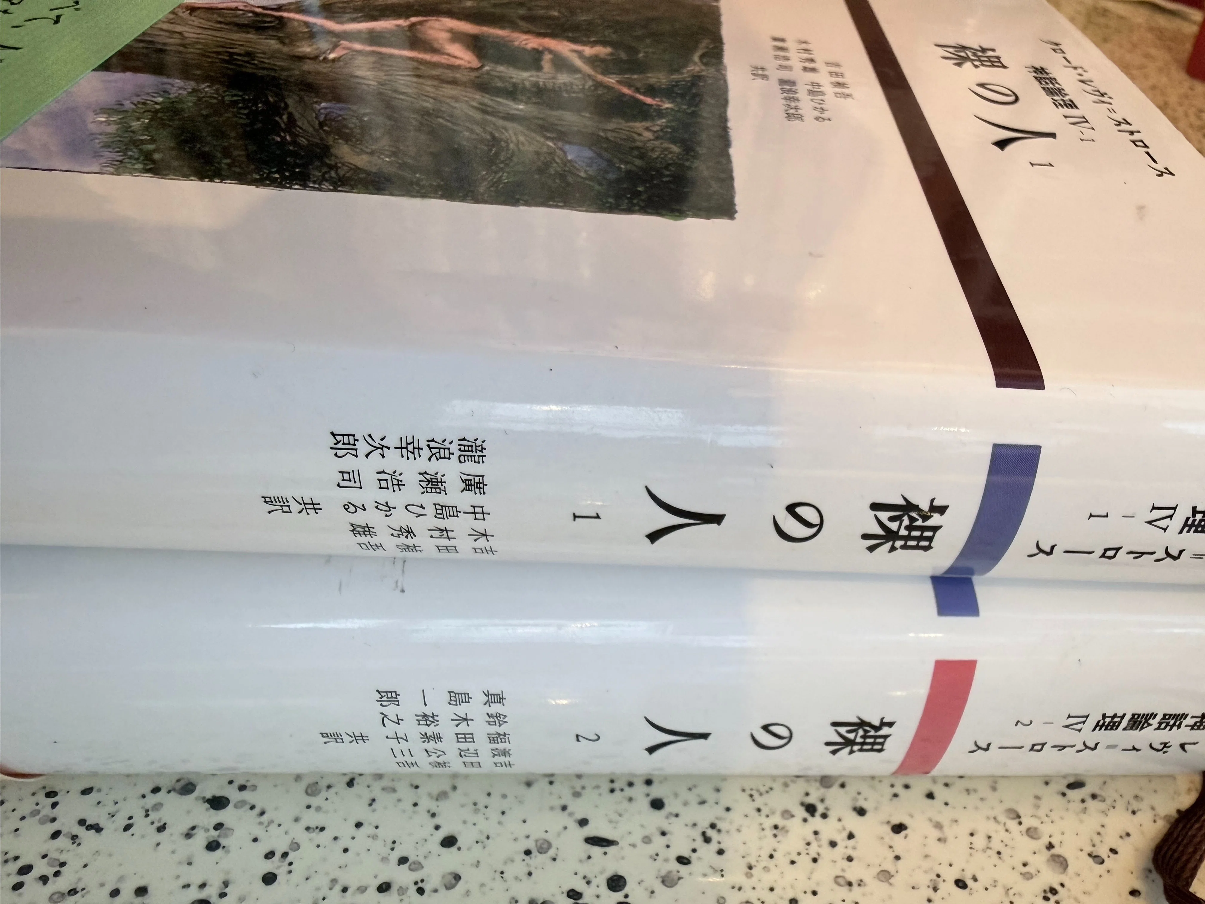 鳥の巣あさりの神話~「内に包まれた」主人公は「外に晒される」~両義的