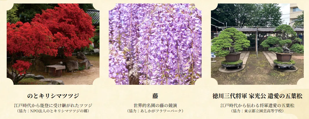 【中古】植物文化人物事典?江戸から近現代・植物に魅せられた人々 亥辰舎 ／新刊「クリエイターの為の植物事典」 - 無料プレスリリース