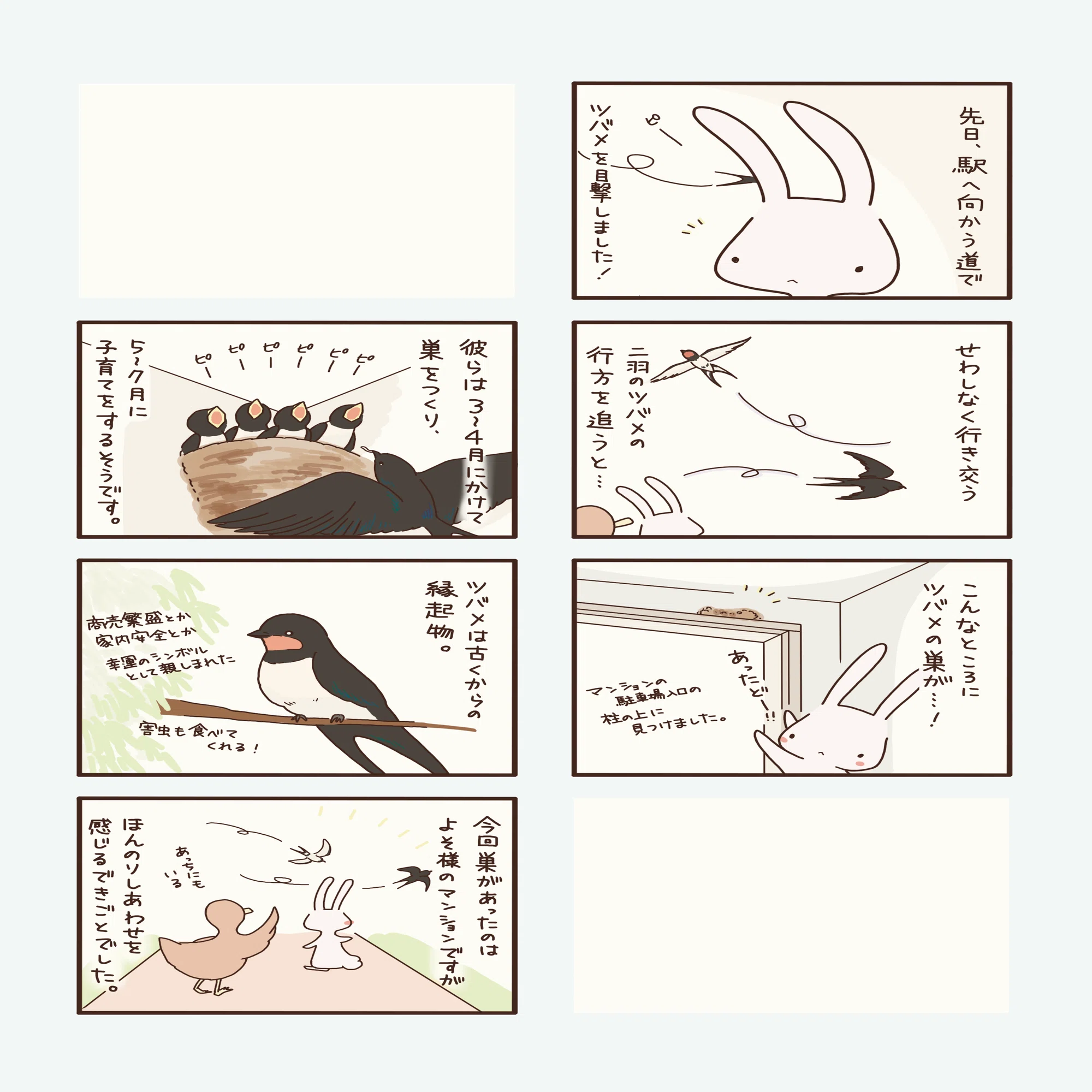 う*み様 ツバメの巣 漫画】ツバメの巣、見つけました！ うさみとかも＃82 ｜usami_kamo