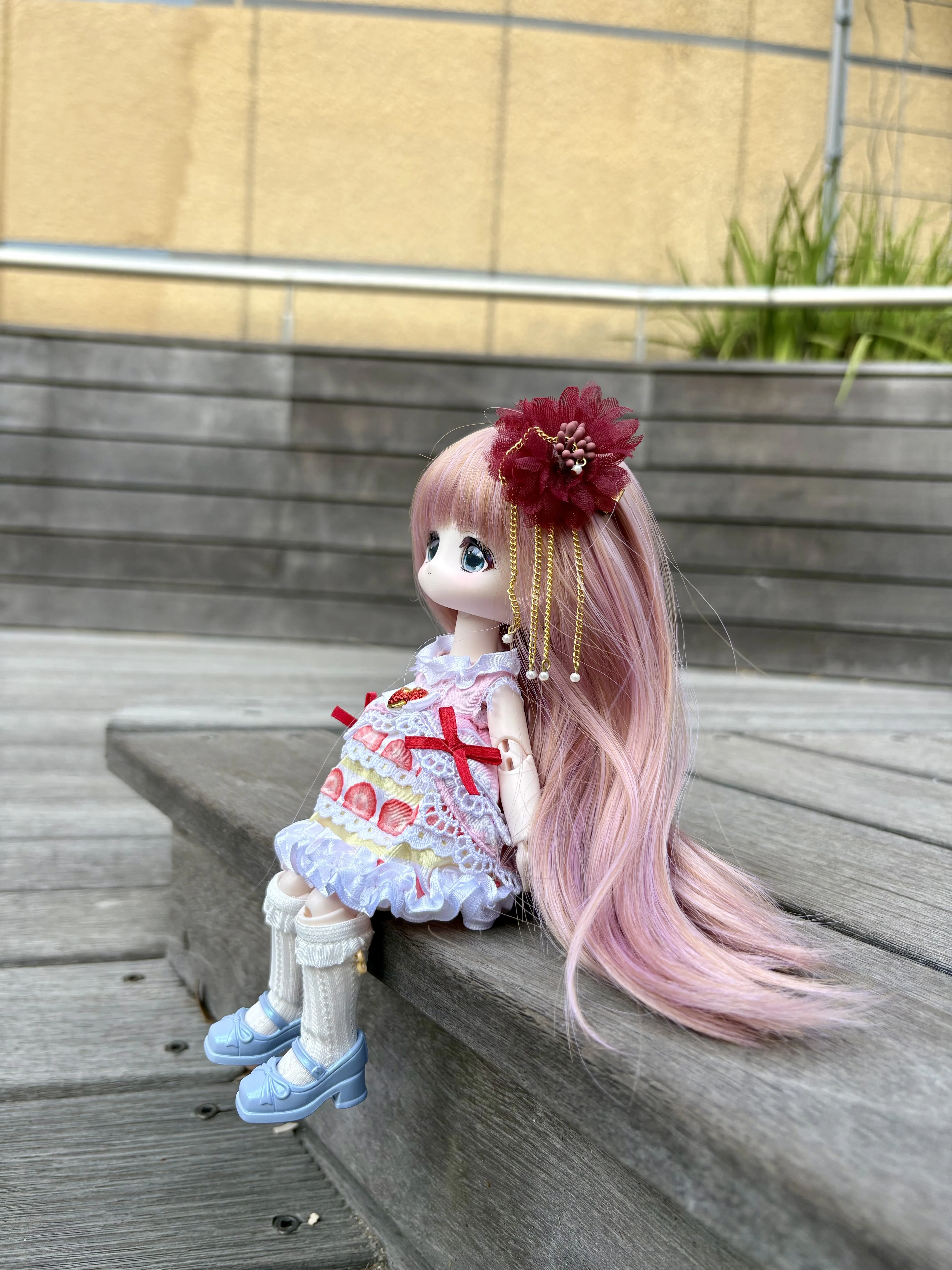 ボニバニ6ちゃんお迎え記録 - 趣味助とドールの日々