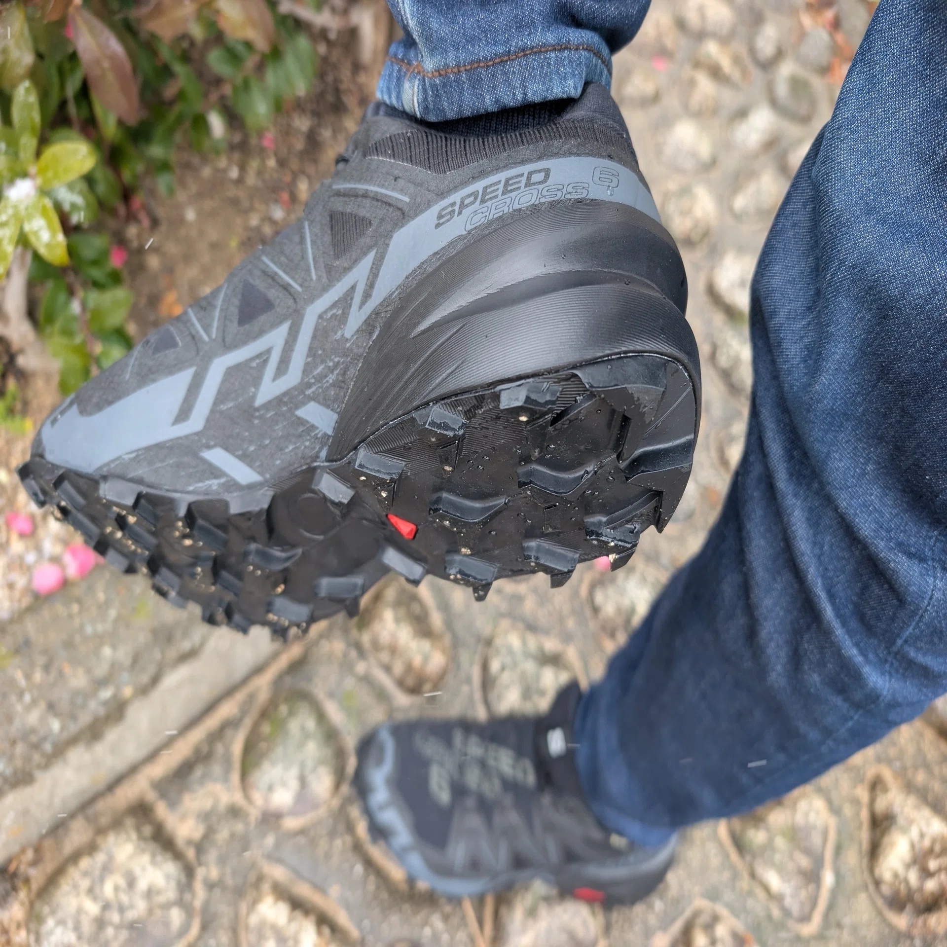 SALOMON】通常モデルよりゴアテックスが街履きにおすすめな理由｜無職 