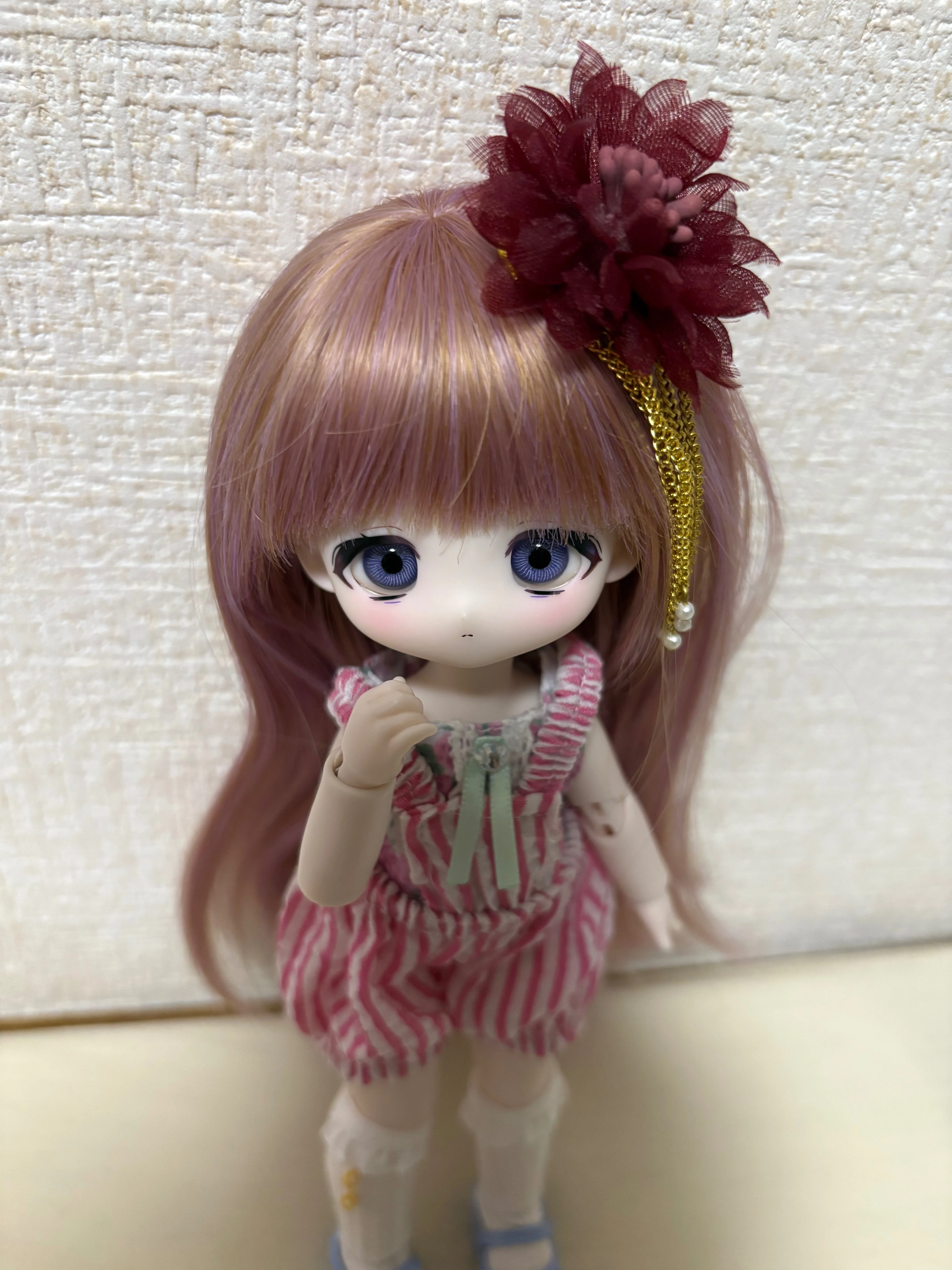 ボニバニ6ちゃんお迎え記録｜趣味助