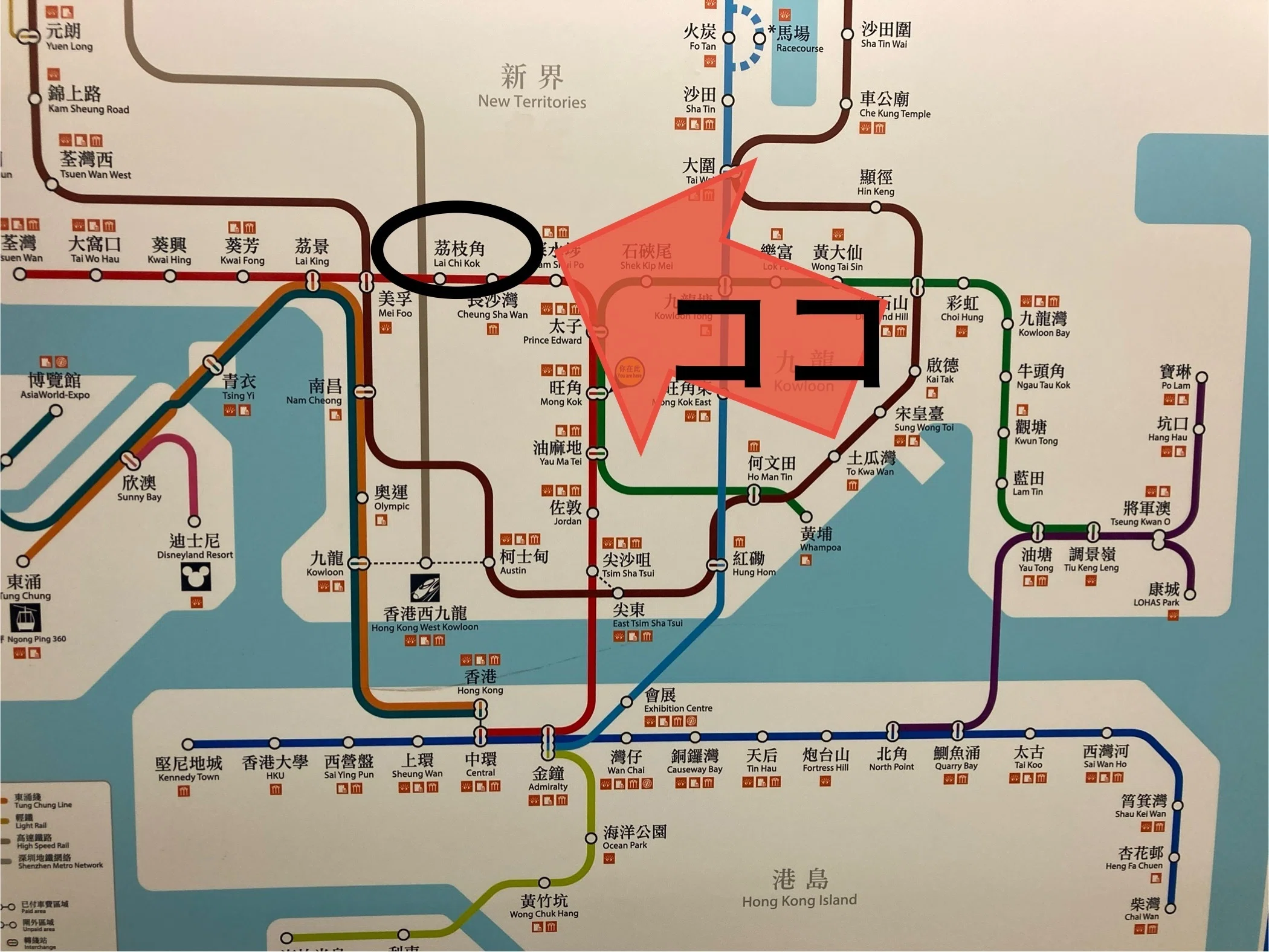 FaB】香港のカードショップに行ってきた話【26年版】｜KingKazumaTCG