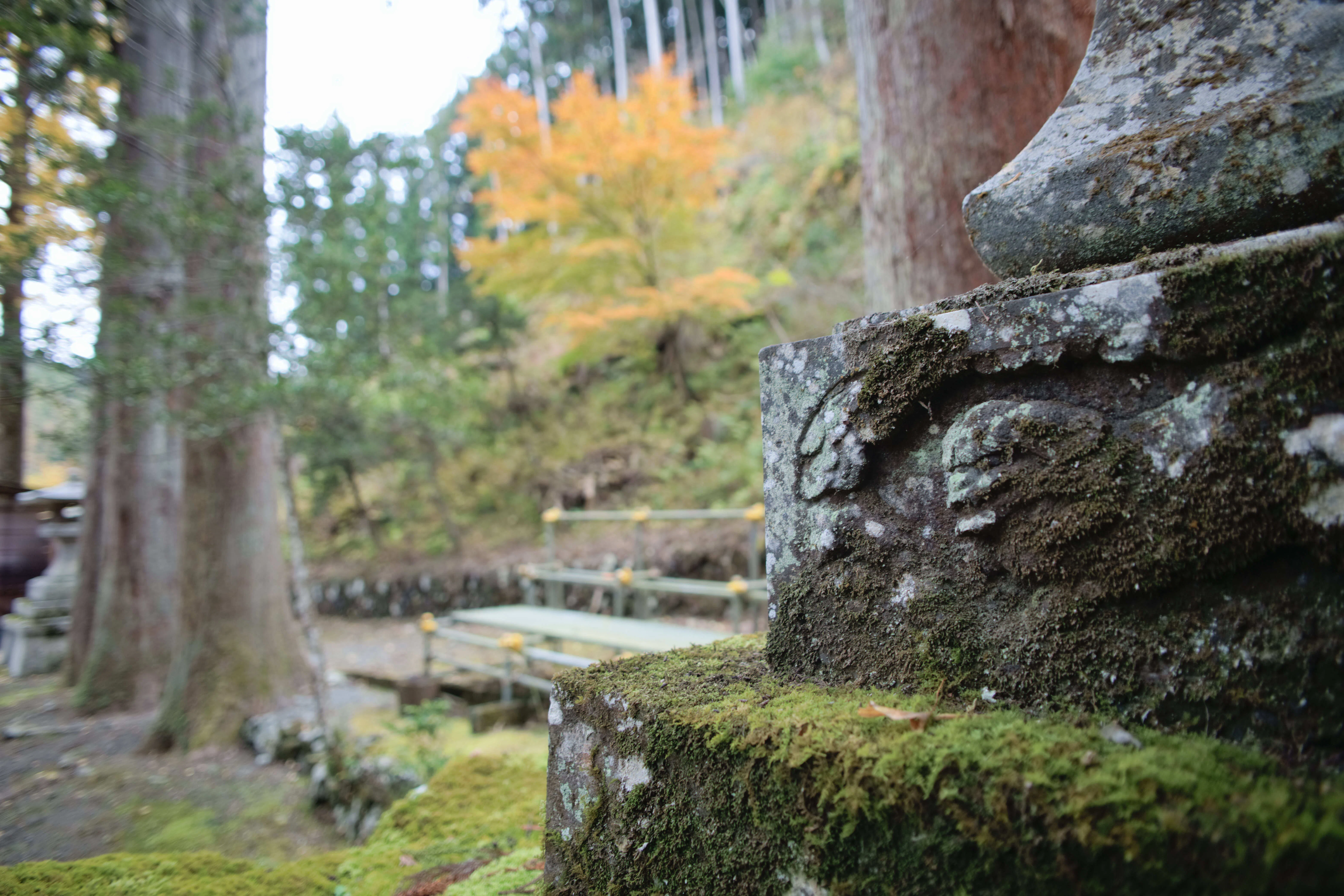 レンズレビュー】TAMRON SP AF 20-40mm F/2.7-3.5 Aspherical IF [166D