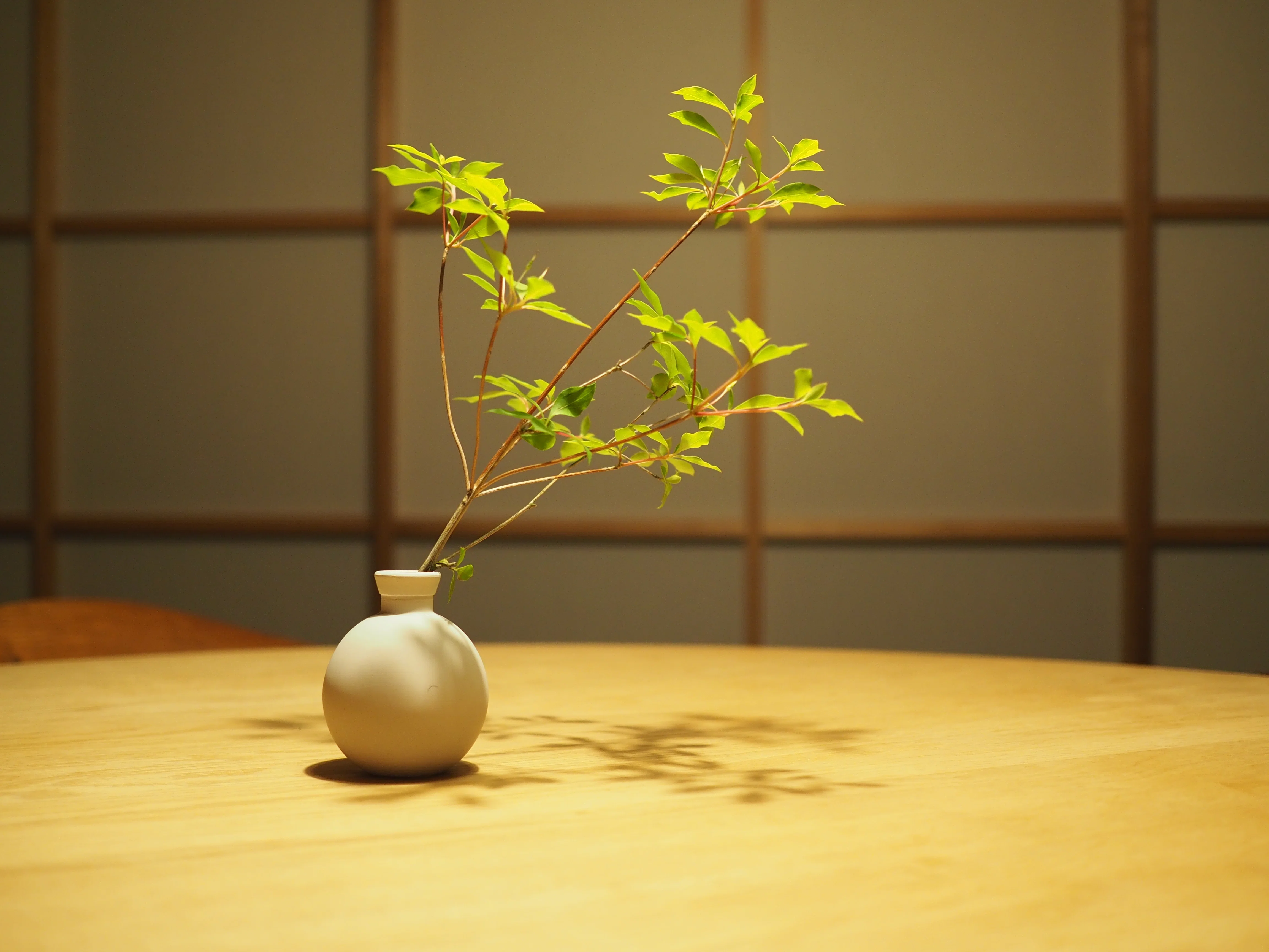 日常を変える/小さな変化。花を飾ったことがないボクが、花瓶を買う