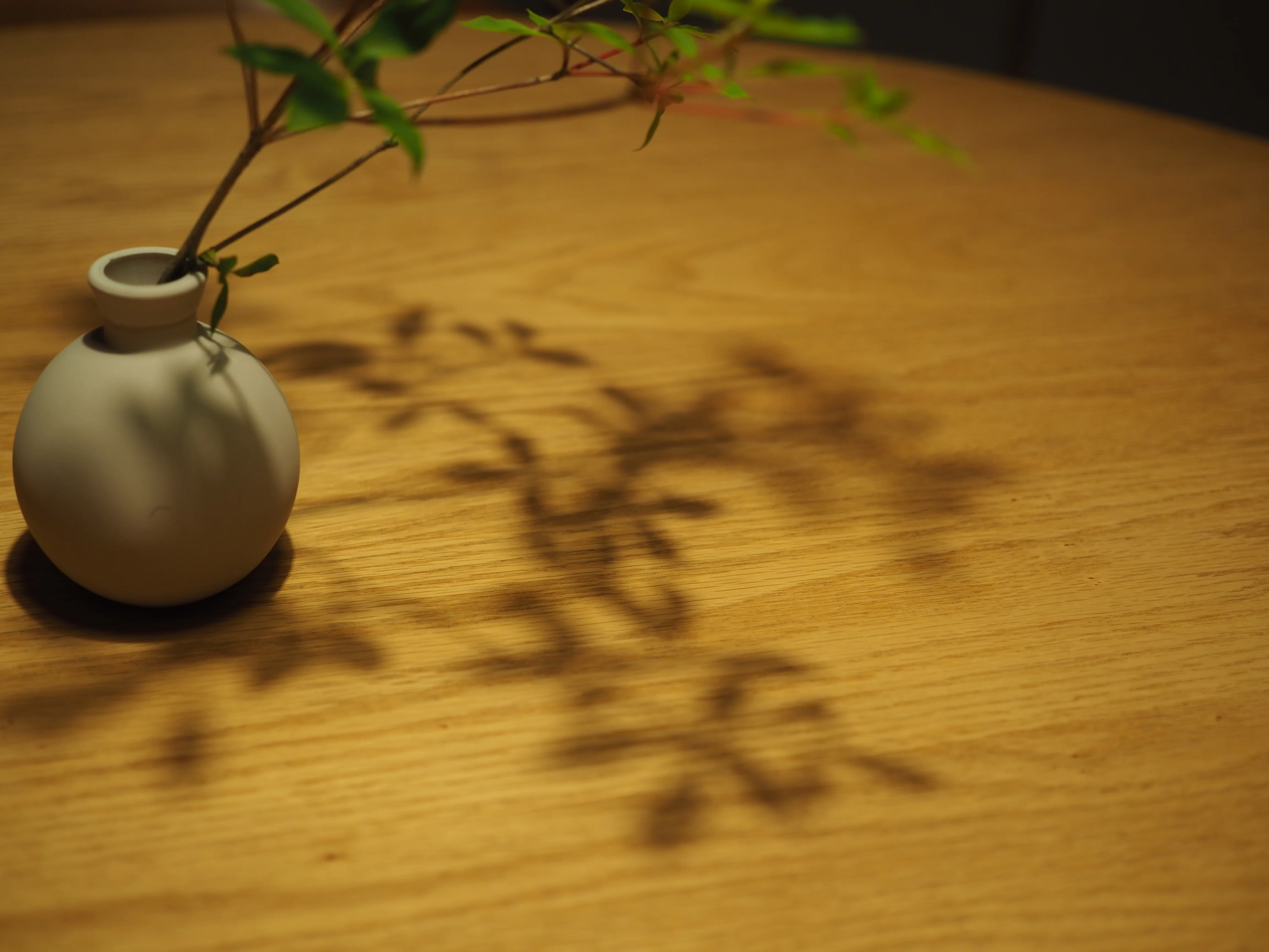 日常を変える/小さな変化。花を飾ったことがないボクが、花瓶を買う