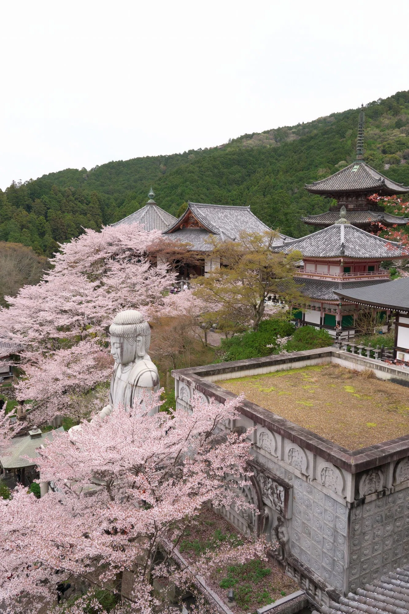 地域限定 桜と寺院を描いたリトグラフ 限定版 439/500 80×90 京都の 
