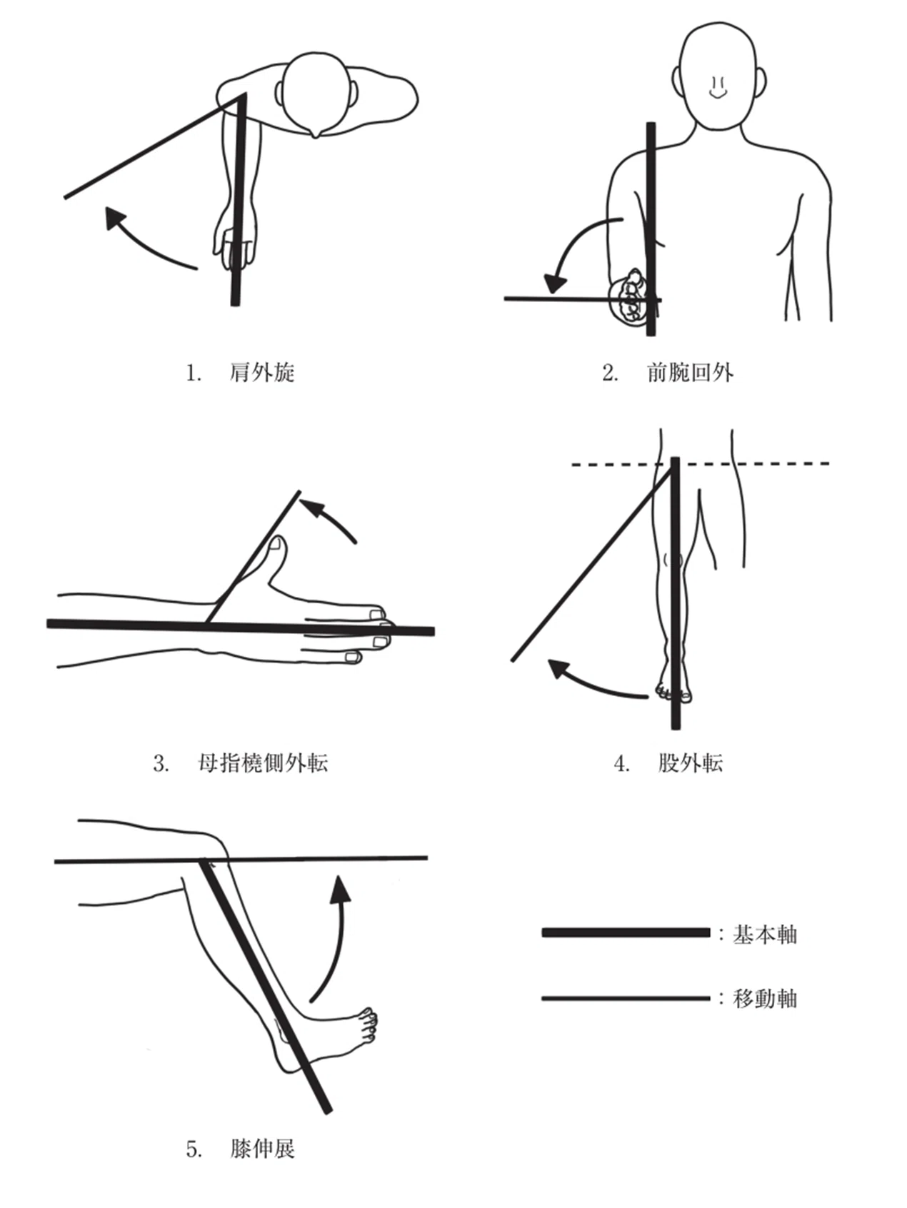 第61回作業療法士国家試験 問題 過去問 解答 解説 午後1～10問｜第62回 