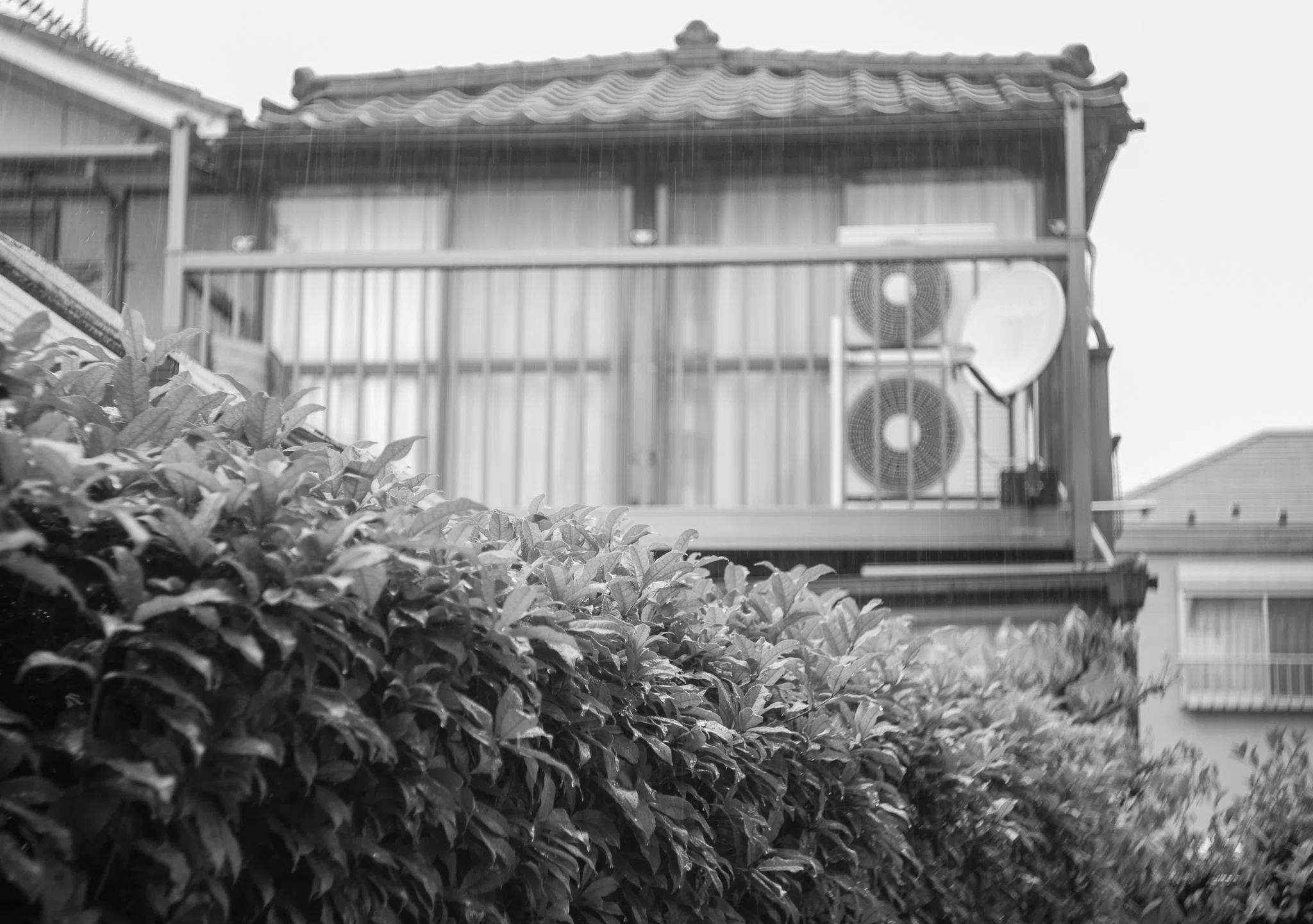 Chiyoko Super Rokkor 5cm C f2.8 は当時の空気を拾う、極上の一本