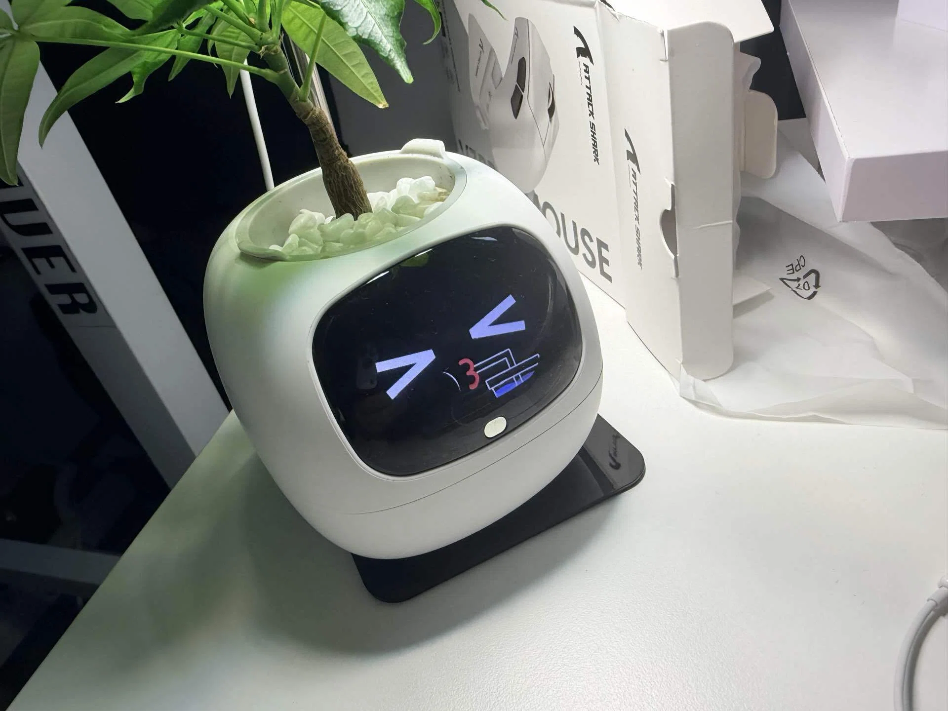 Ivyスマートプランター Gen2レビュー｜デスク用観葉植物として使える