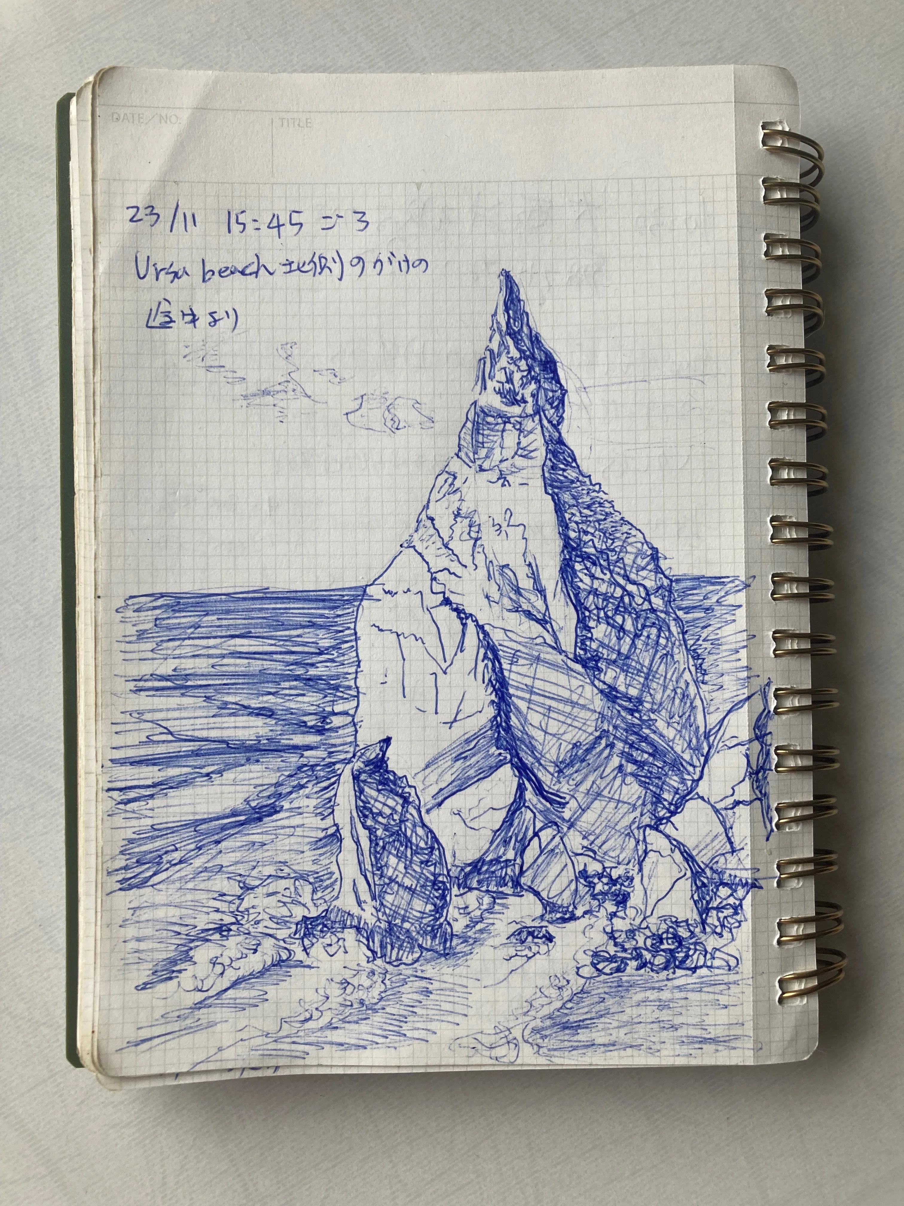 絵に描くことで、本当に対象を見る｜風かな