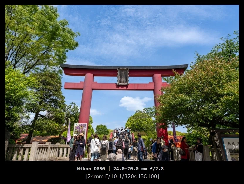 一眼レフ NIKON D850と行く 亀戸天神『藤まつり』｜カメラと写真日記