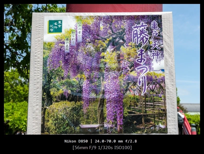 一眼レフ NIKON D850と行く 亀戸天神『藤まつり』｜カメラと写真日記