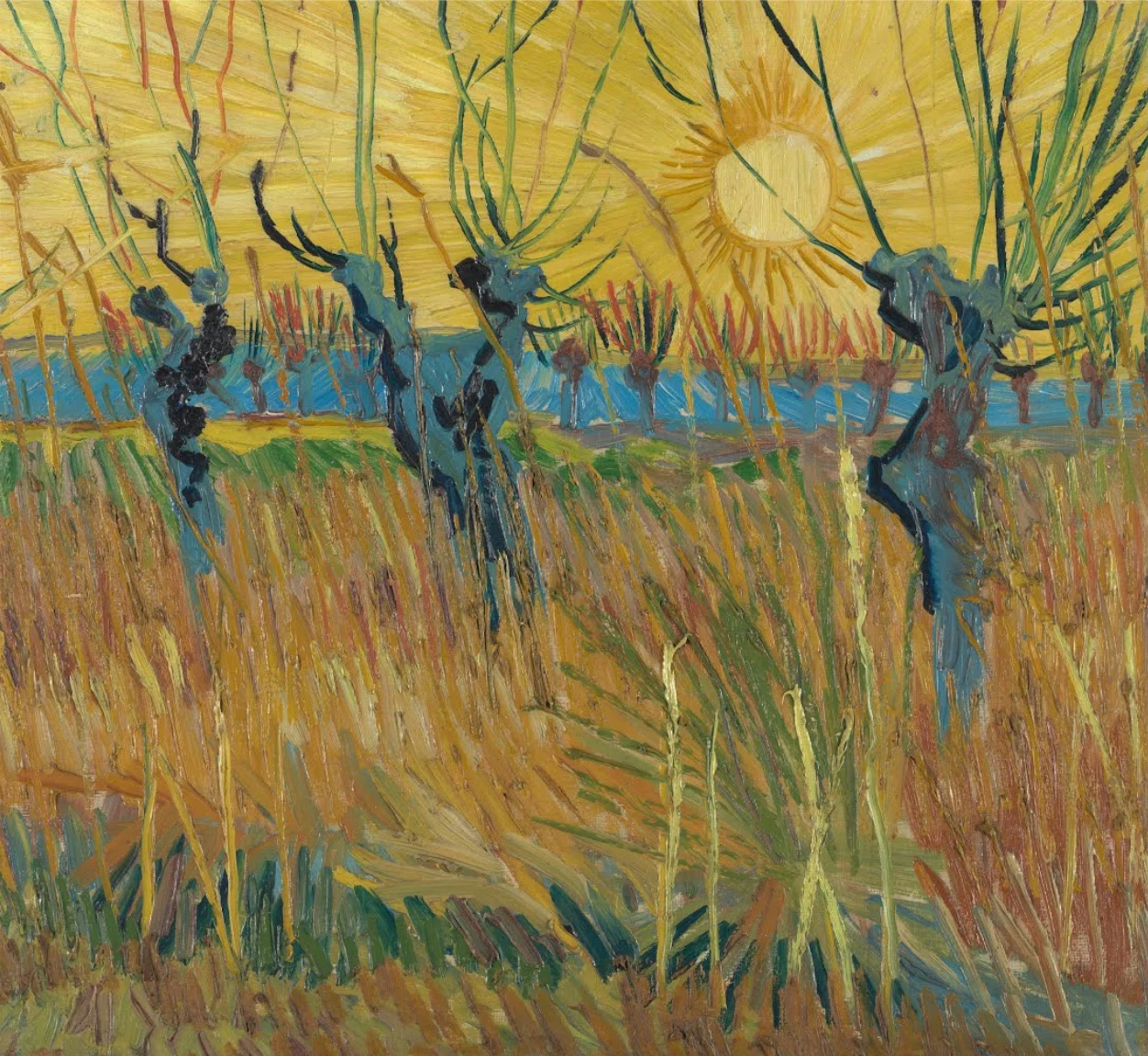 大ゴッホ展」出品作⑭ ゴッホ《夕暮時の刈り込まれた柳》1888年｜毎日