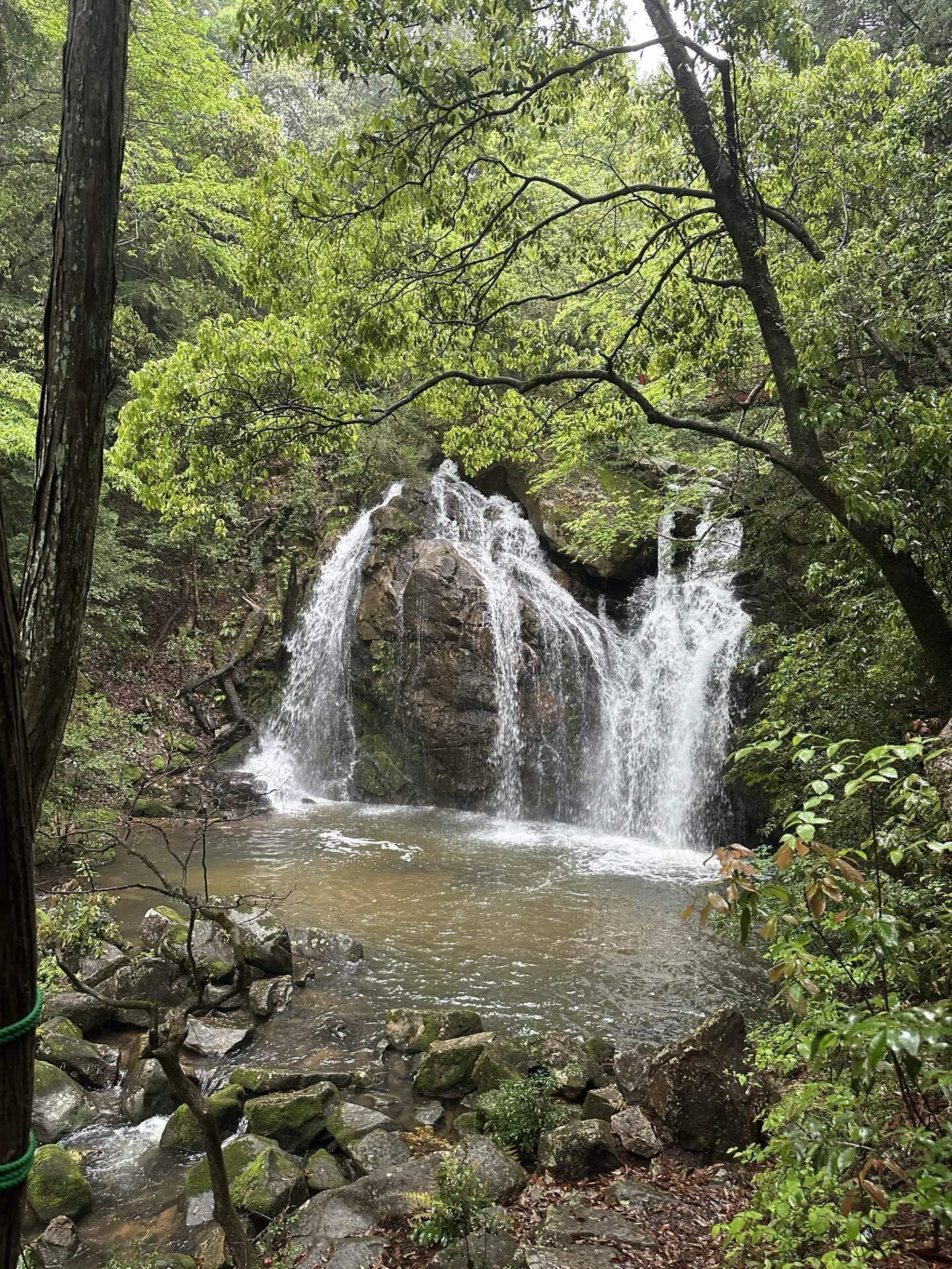 雨の日こそ絶景！瑞浪「竜吟の滝」でスリル満点お散歩してきた話