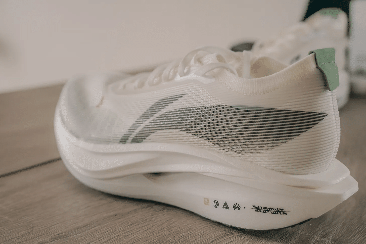 Review】Li-ning FEIDEN 5 ELITE｜hayateoono_ランニングコーチ