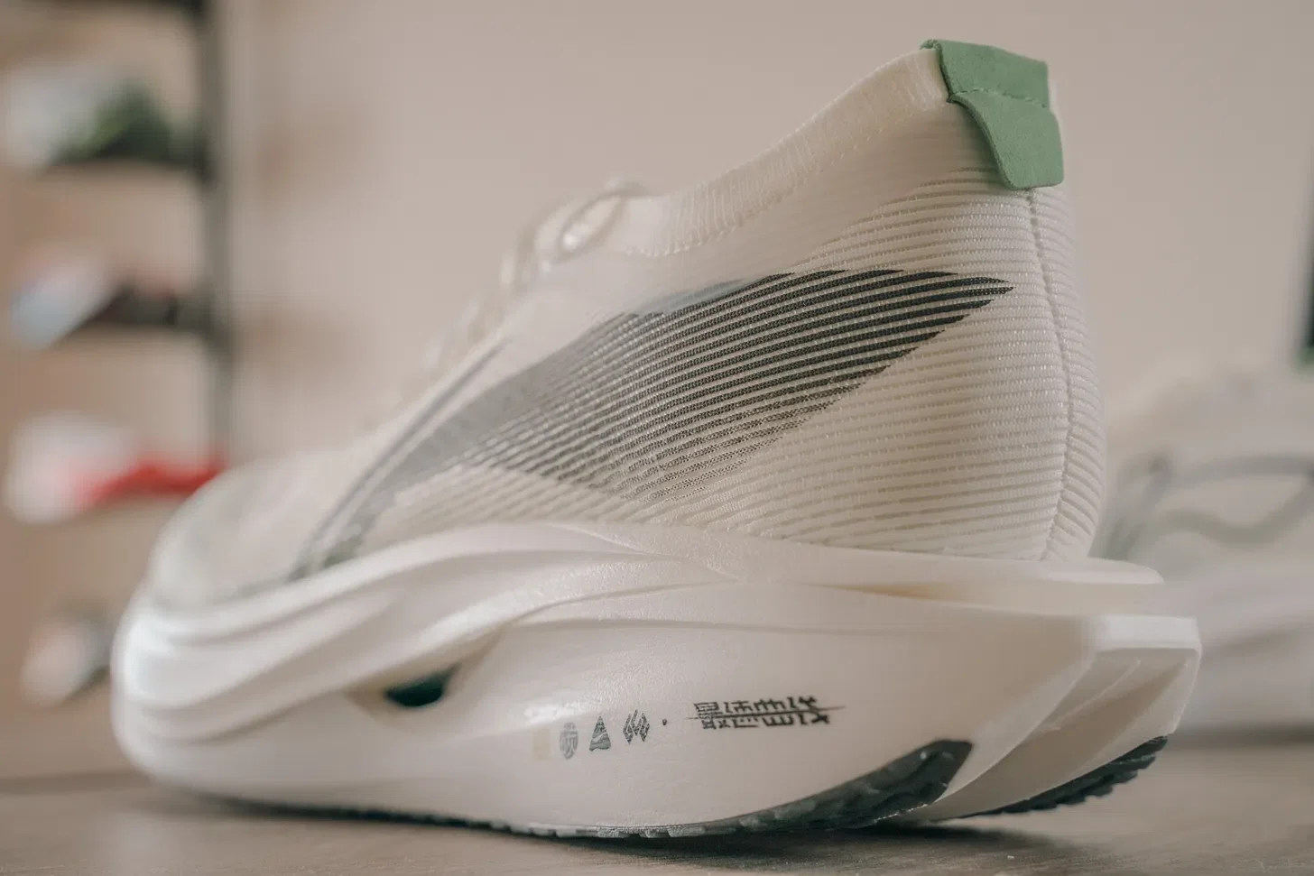 Review】Li-ning FEIDEN 5 ELITE｜hayateoono_ランニングコーチ