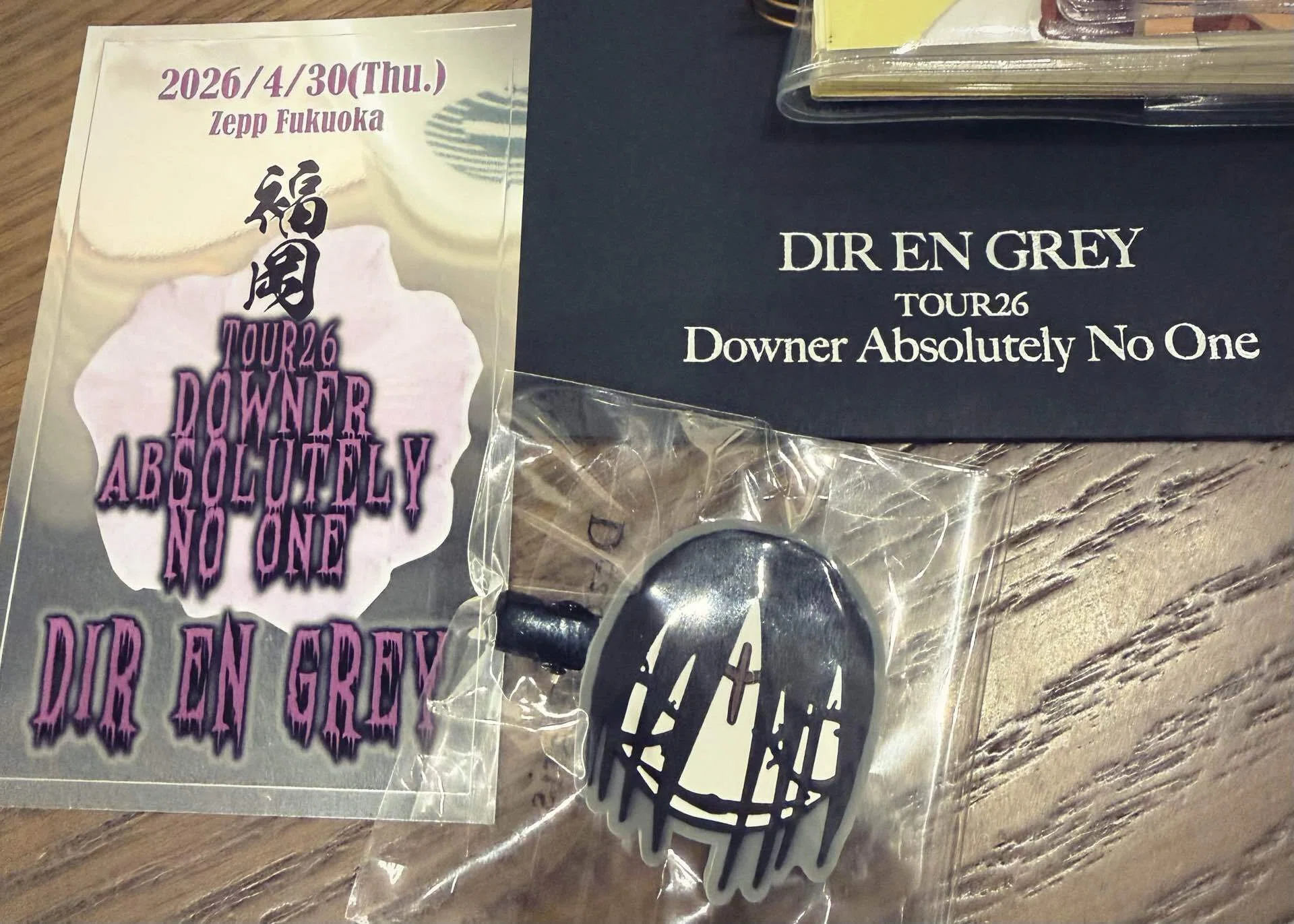 【美品】DIR EN GREY Downer Absolutely No One DIR EN GREY TOUR26 Downer Absolutely No One / MORTAL DOWNERイン