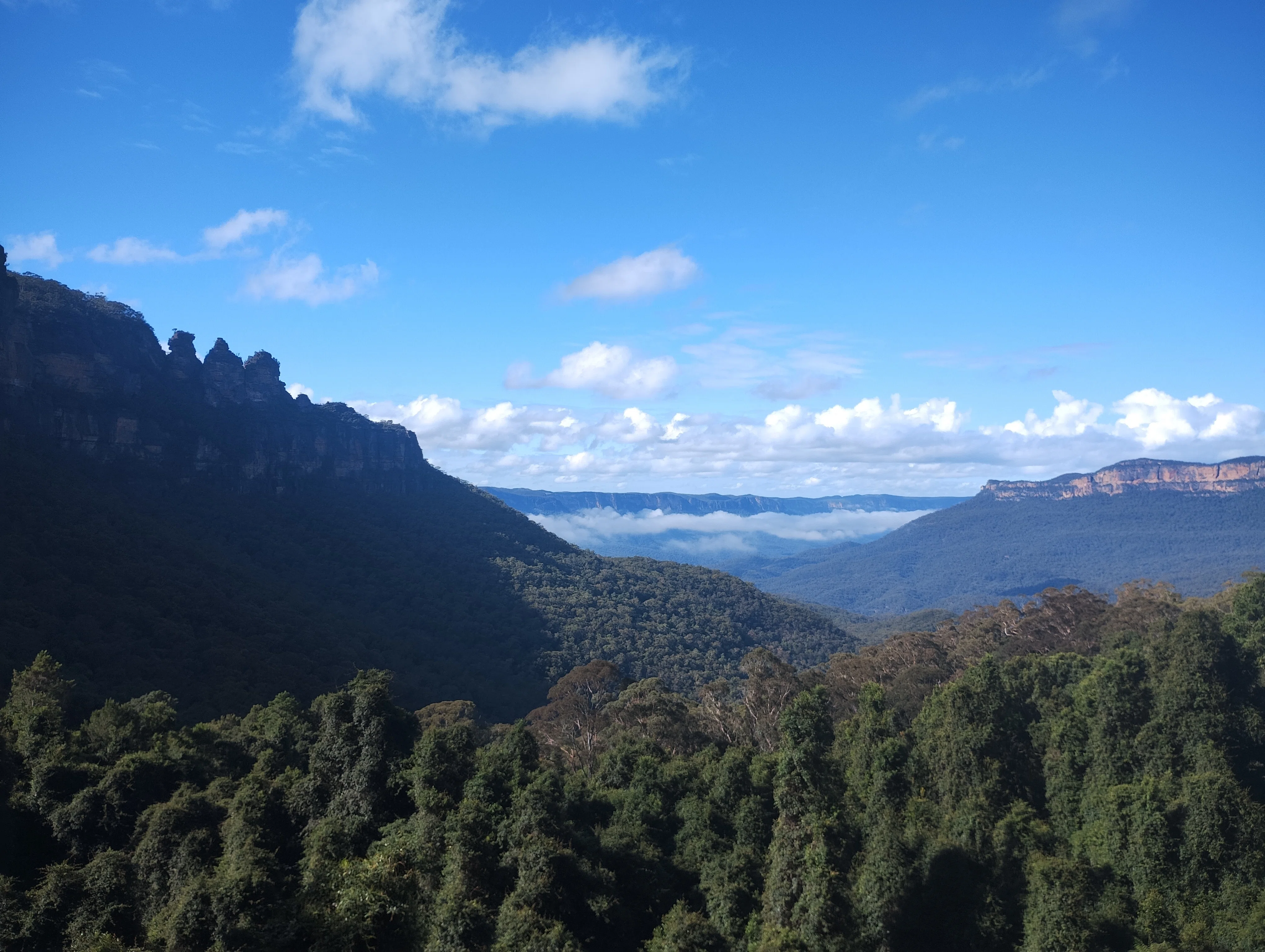 シドニーから日帰りで行ける“青い絶景”へ。ブルーマウンテンで、旅人が