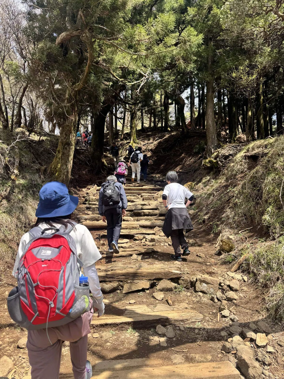 【大山ハイキング】新緑と岩場の登り、七沢温泉へ抜ける11kmの充実ルート｜KAN