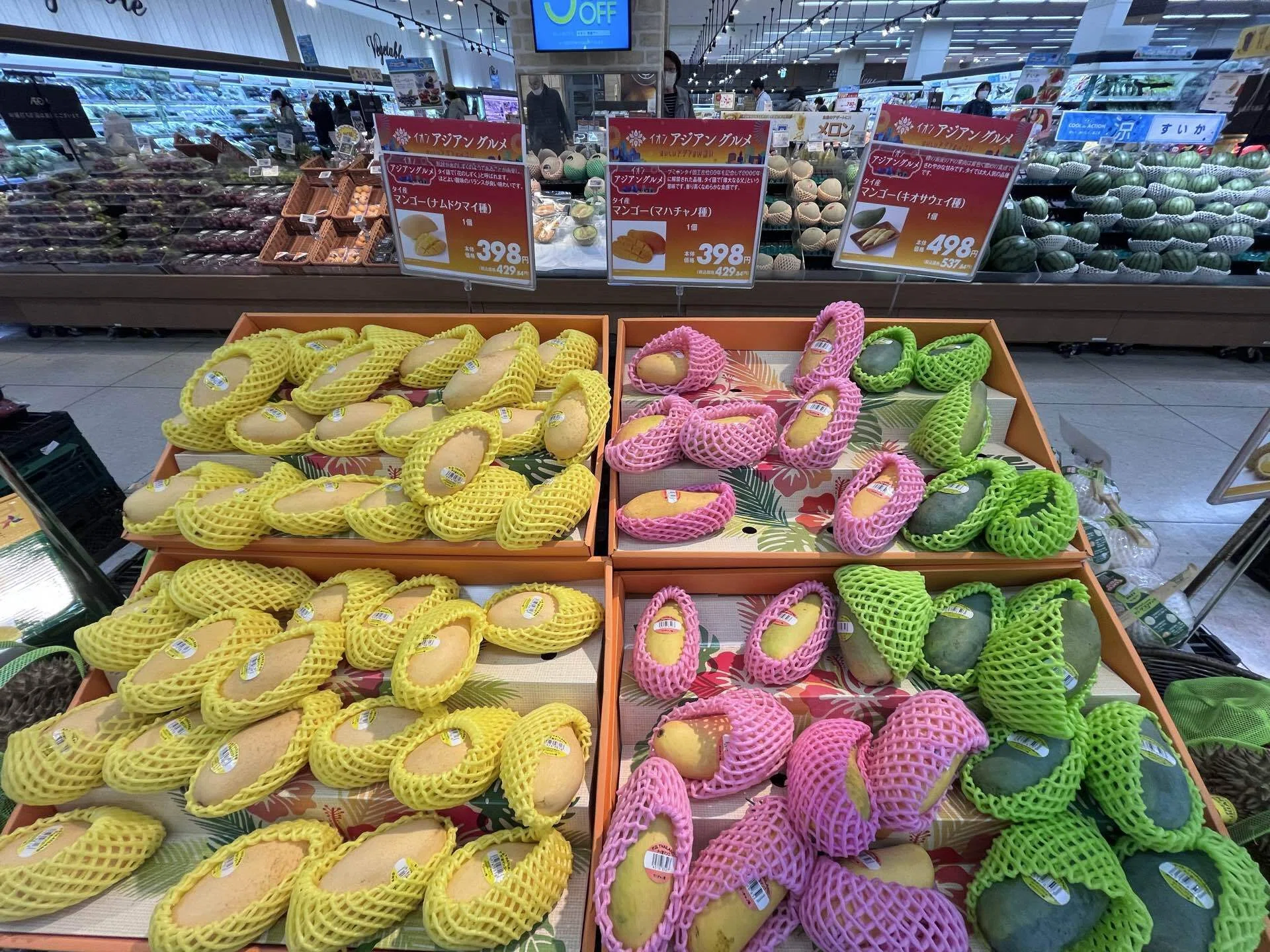 マンゴー友の会……剥奪？｜今が旬のタイ産マンゴー🥭｜マイキー🐣