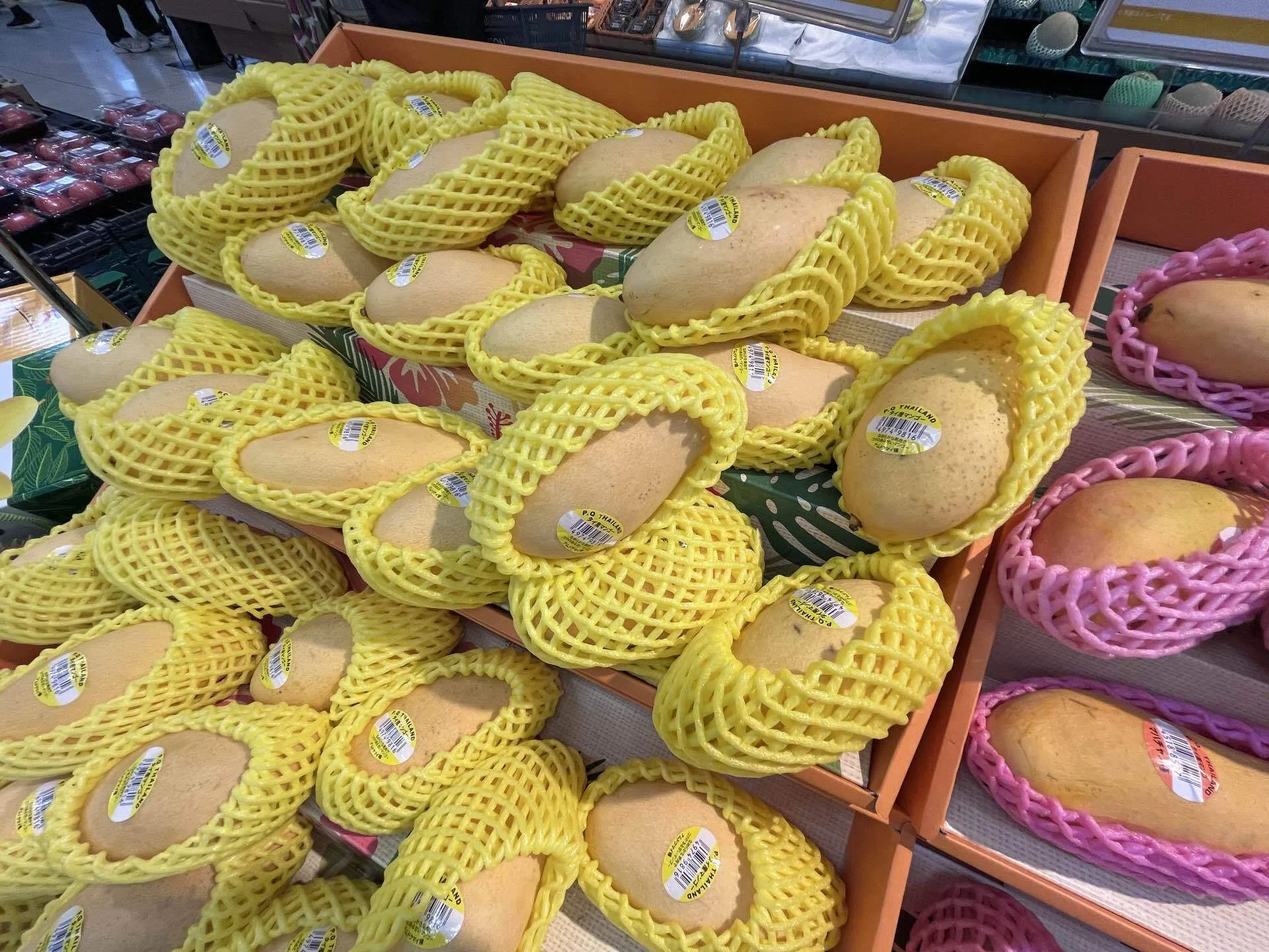 マンゴー友の会……剥奪？｜今が旬のタイ産マンゴー🥭｜マイキー🐣