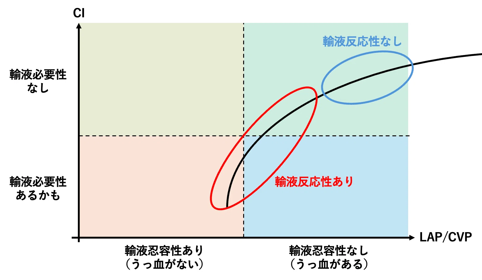 忍 容 性
