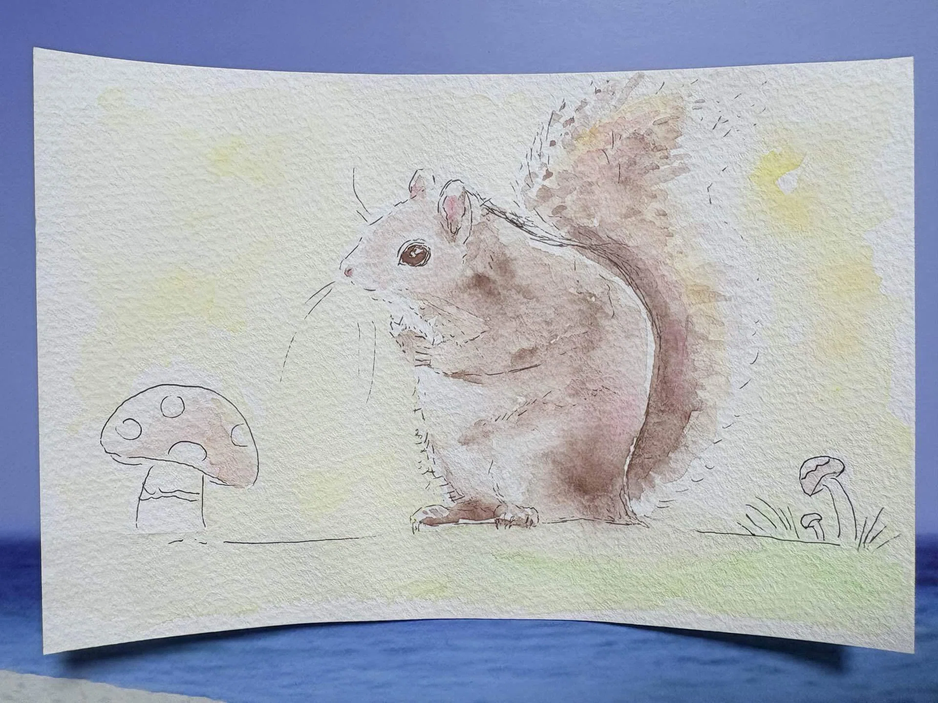 水彩画 原画 栗鼠 watercolor #水彩画 #風景画 #透明水彩 #수채화