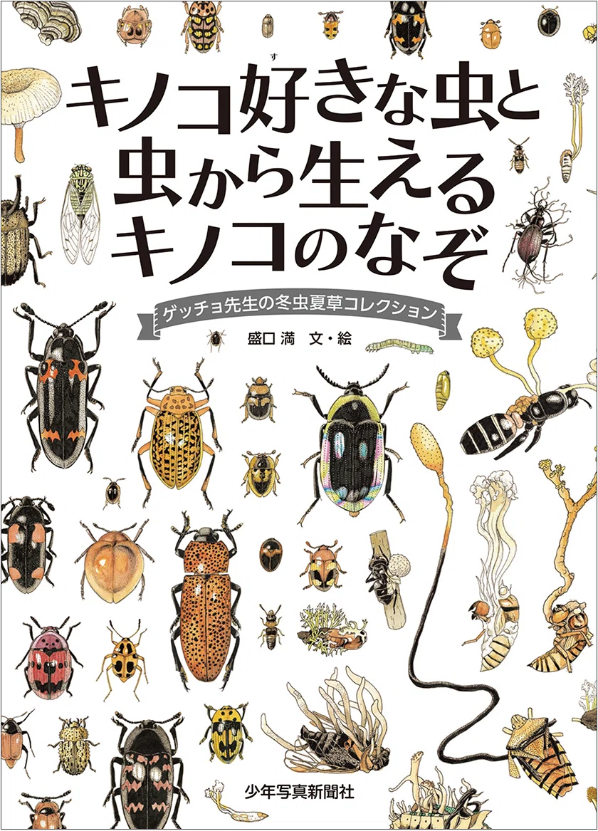 新刊案内】5月29日 みんな大好き！ゲッチョ先生の「キノコ好きな虫と虫