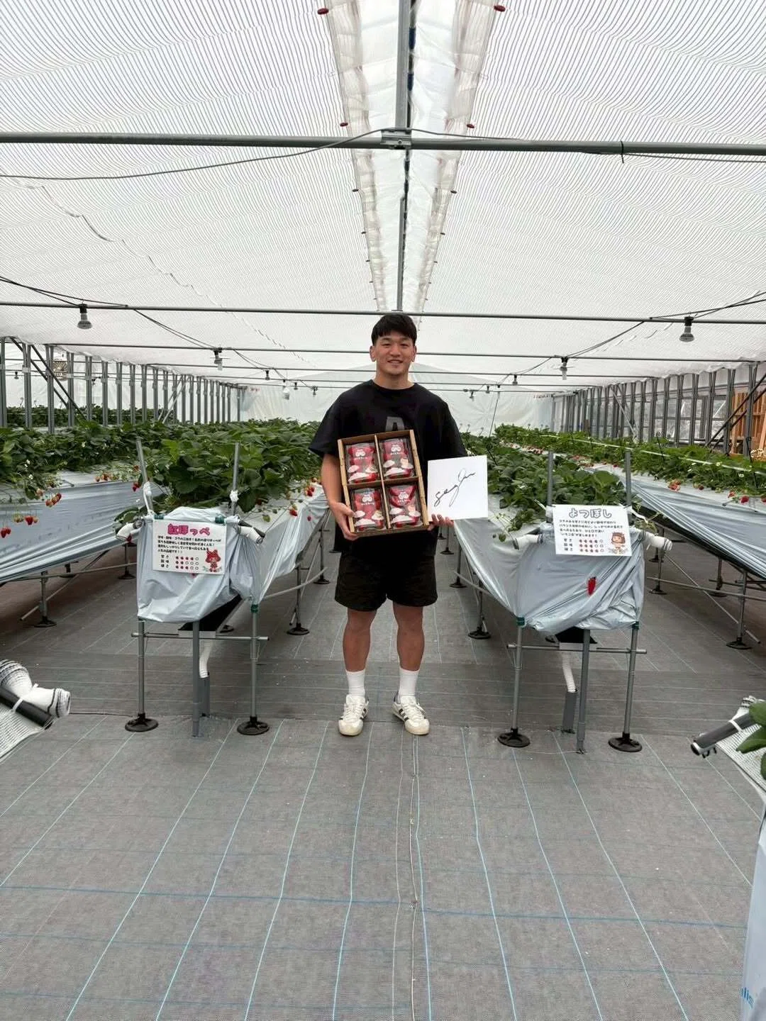 李承信選手もご来園🍓そして本日は花園スタジアムへ出店!🏉
