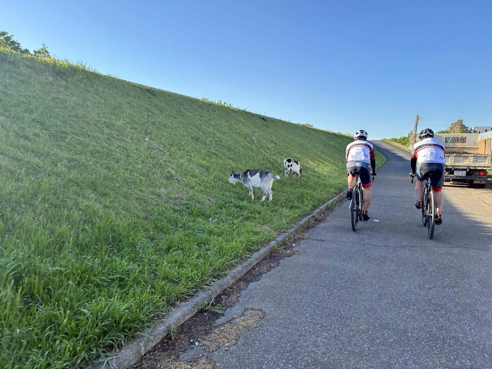 葛西ポタ63km｜西川正治