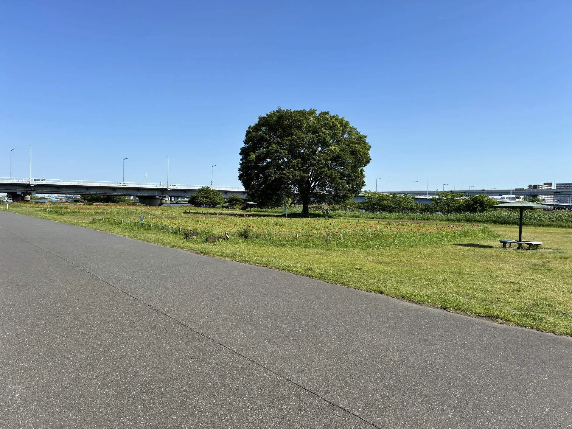葛西ポタ63km｜西川正治