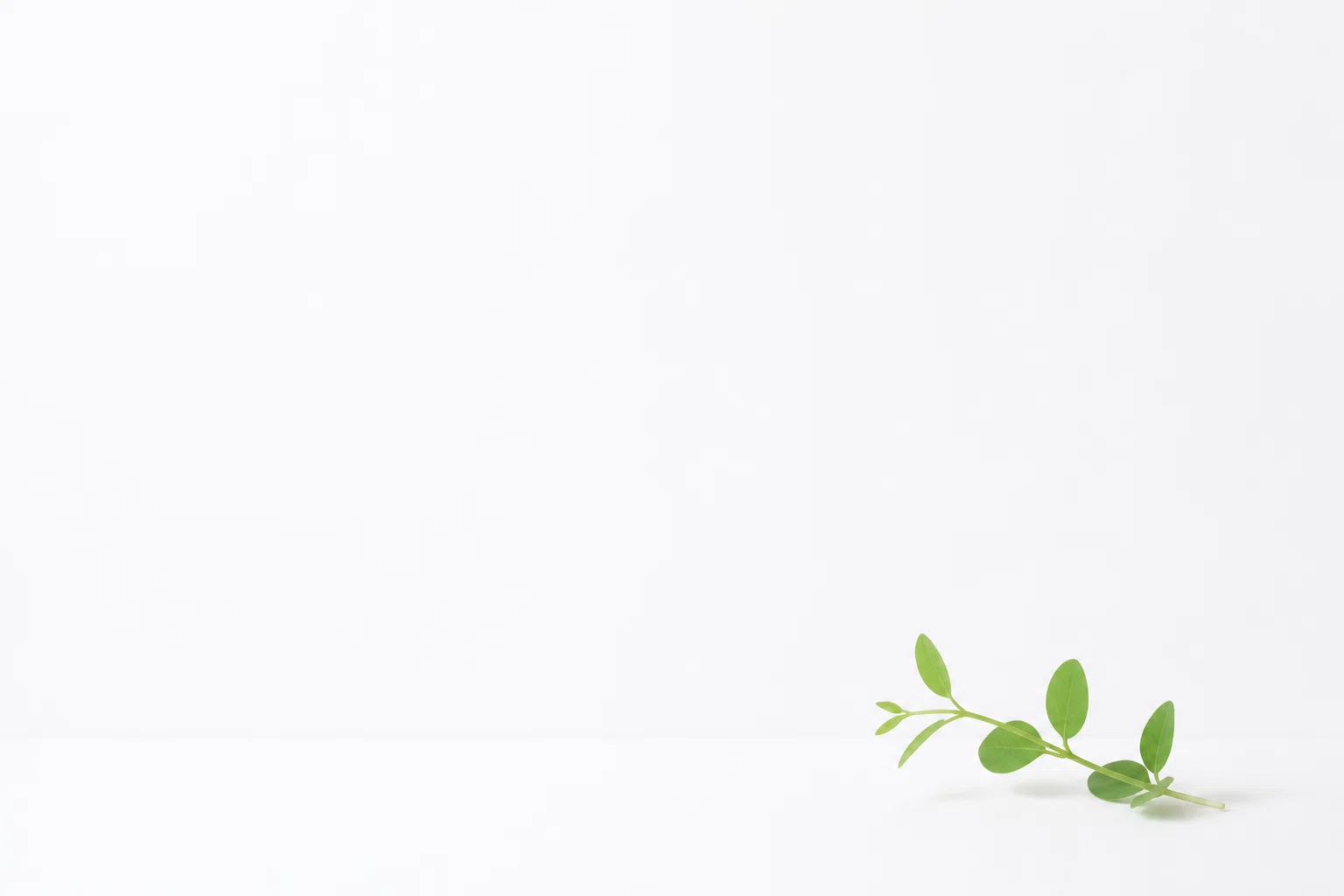 A collection of simple white-background images for use in the note ...