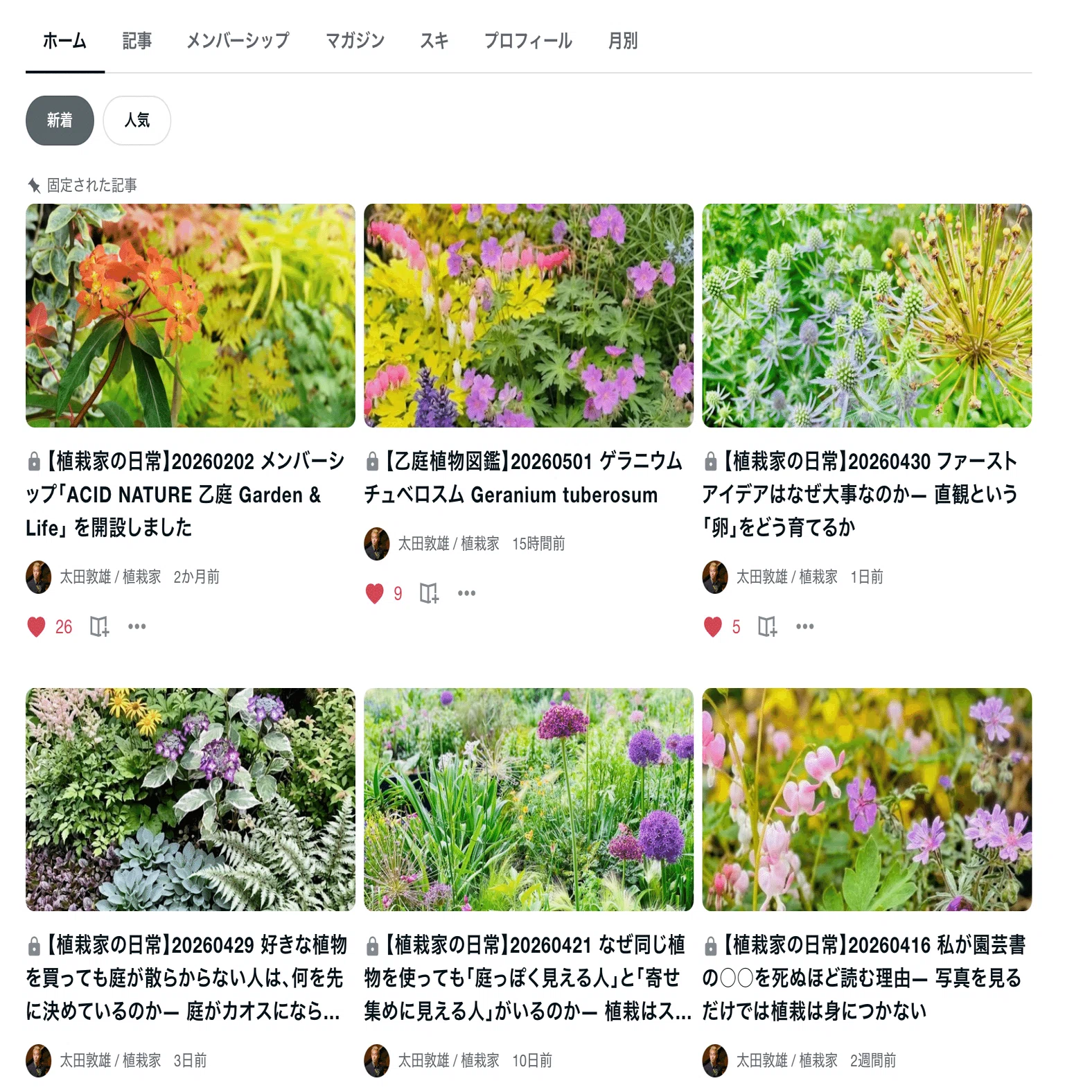 乙庭電脳植物図鑑】20260501 ゲラニウム チュベロスム Geranium 