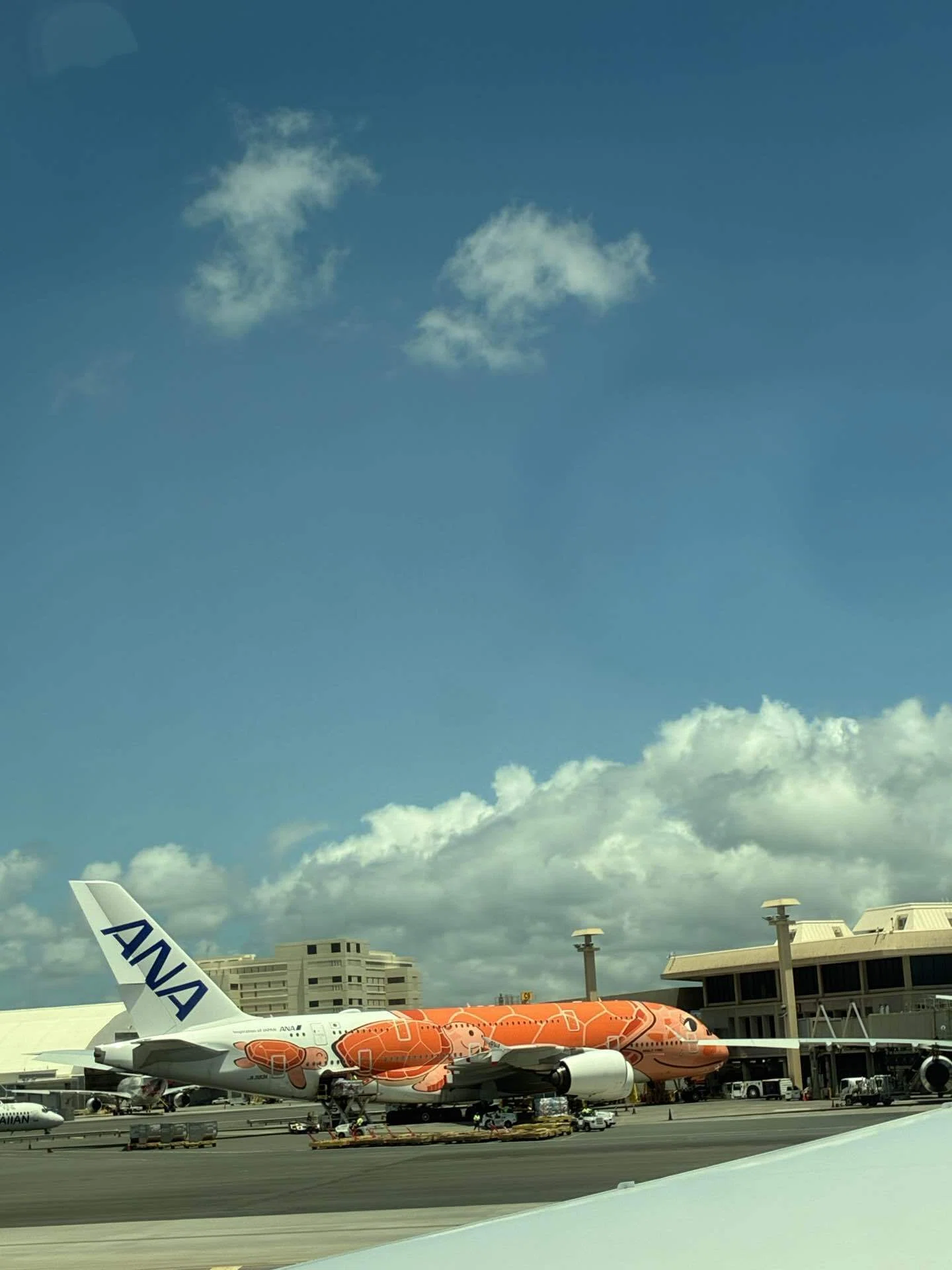 ハワイ8日最終日｜ありがとう、また来ます｜空と旅のノート | Sora