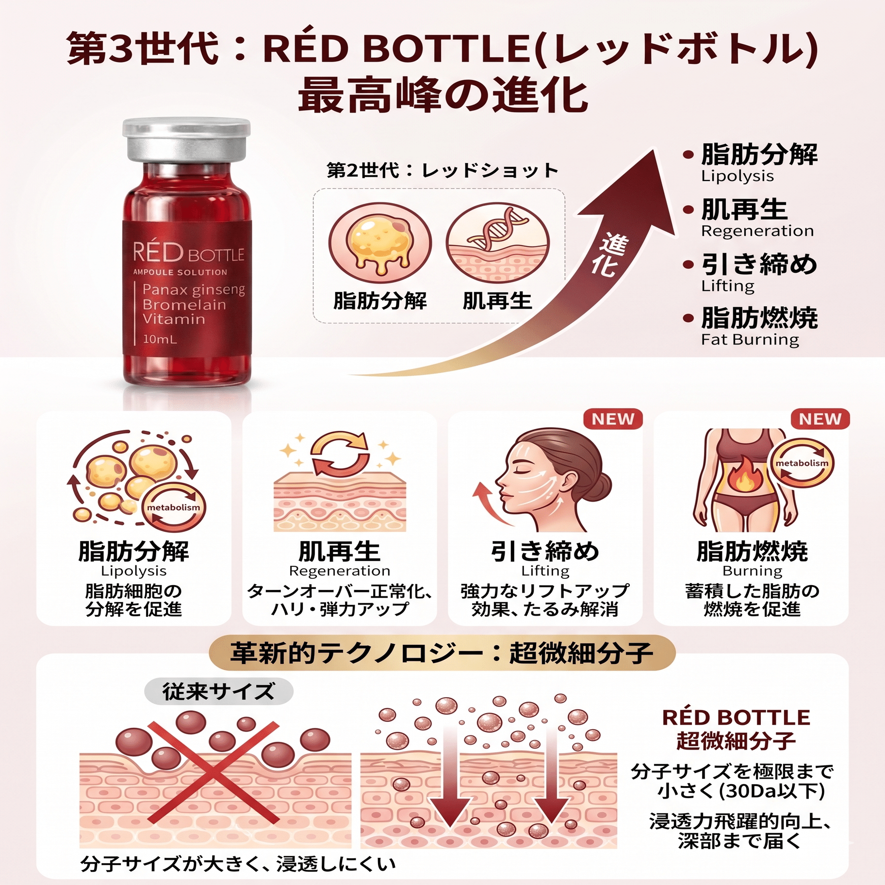 脂肪分解剤RED BOTTLE（レッドボトル）とは？｜【美容×疲労回復】を