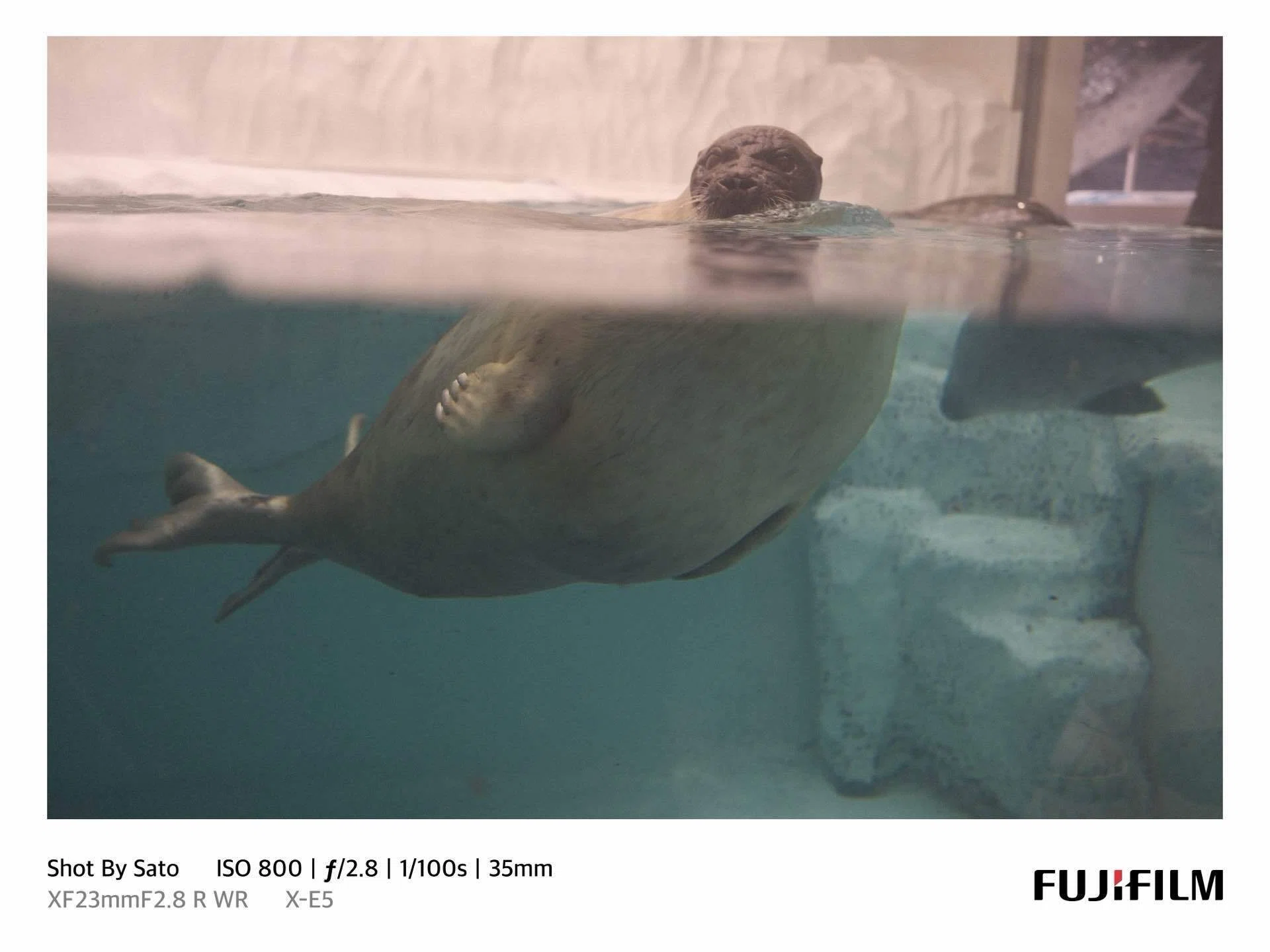 ♪未使用 海とヨットとカモメちゃんの置き物♪ マリン カモメ ウミネコ 鳥 バード 置き物 オブジェ レジン 動物