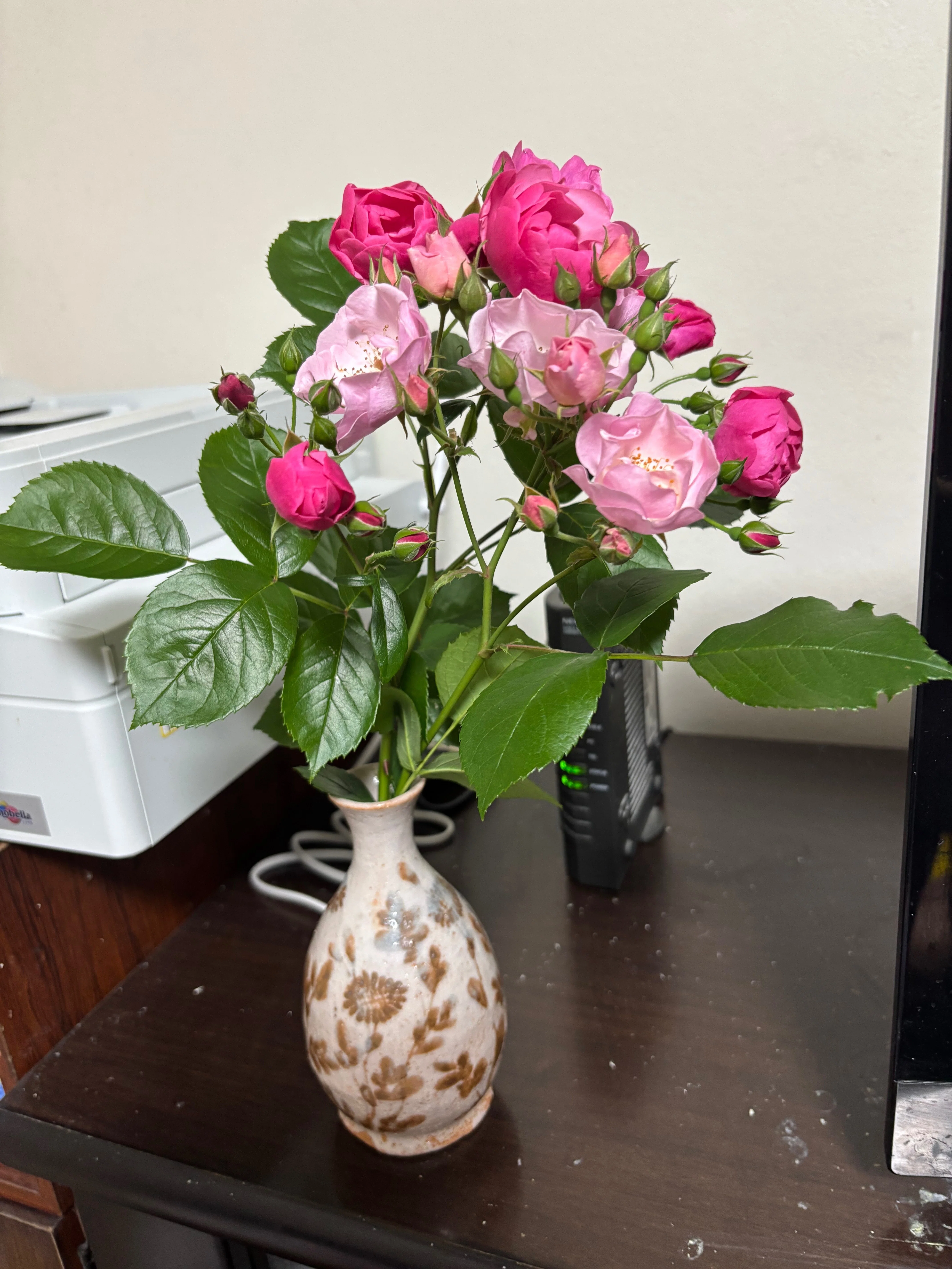 ご近所さんにバラの花をいただきました。＋ご近所の猫です。｜yumiパンダ