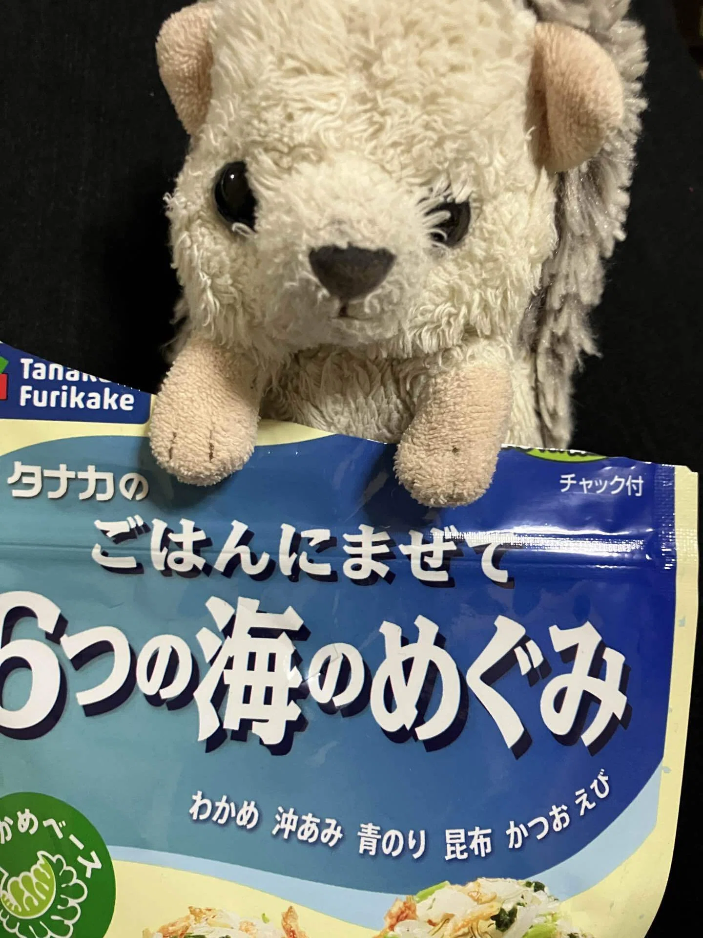 ほんじつのおにぎりさん🍙🦔｜わあい🦔