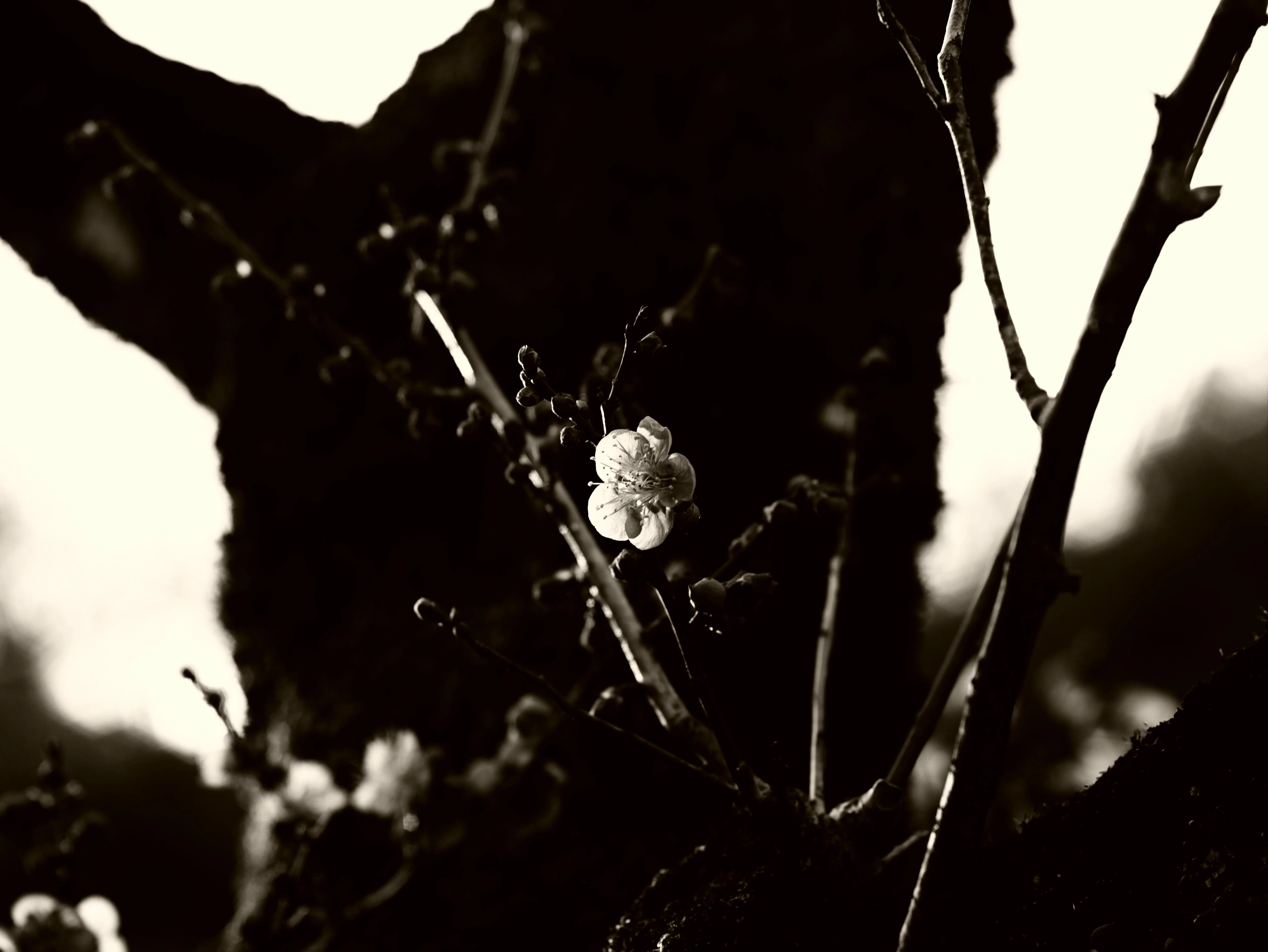 Today's selections #2790｜TakeKuroki
