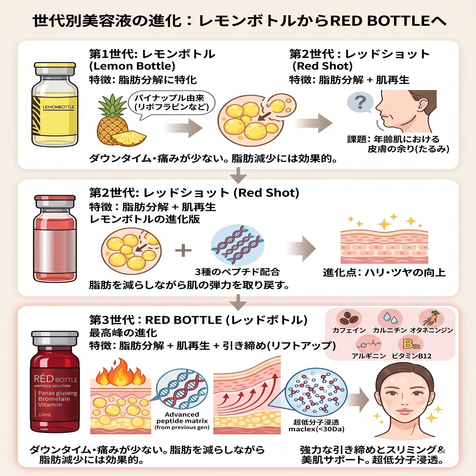 脂肪分解剤RED BOTTLE（レッドボトル）とは？｜【美容×疲労回復】を