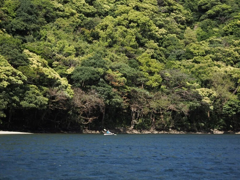 4月前半、屋久島で撮った色々な写真をピックアップ！｜カメラはOLYMPUS