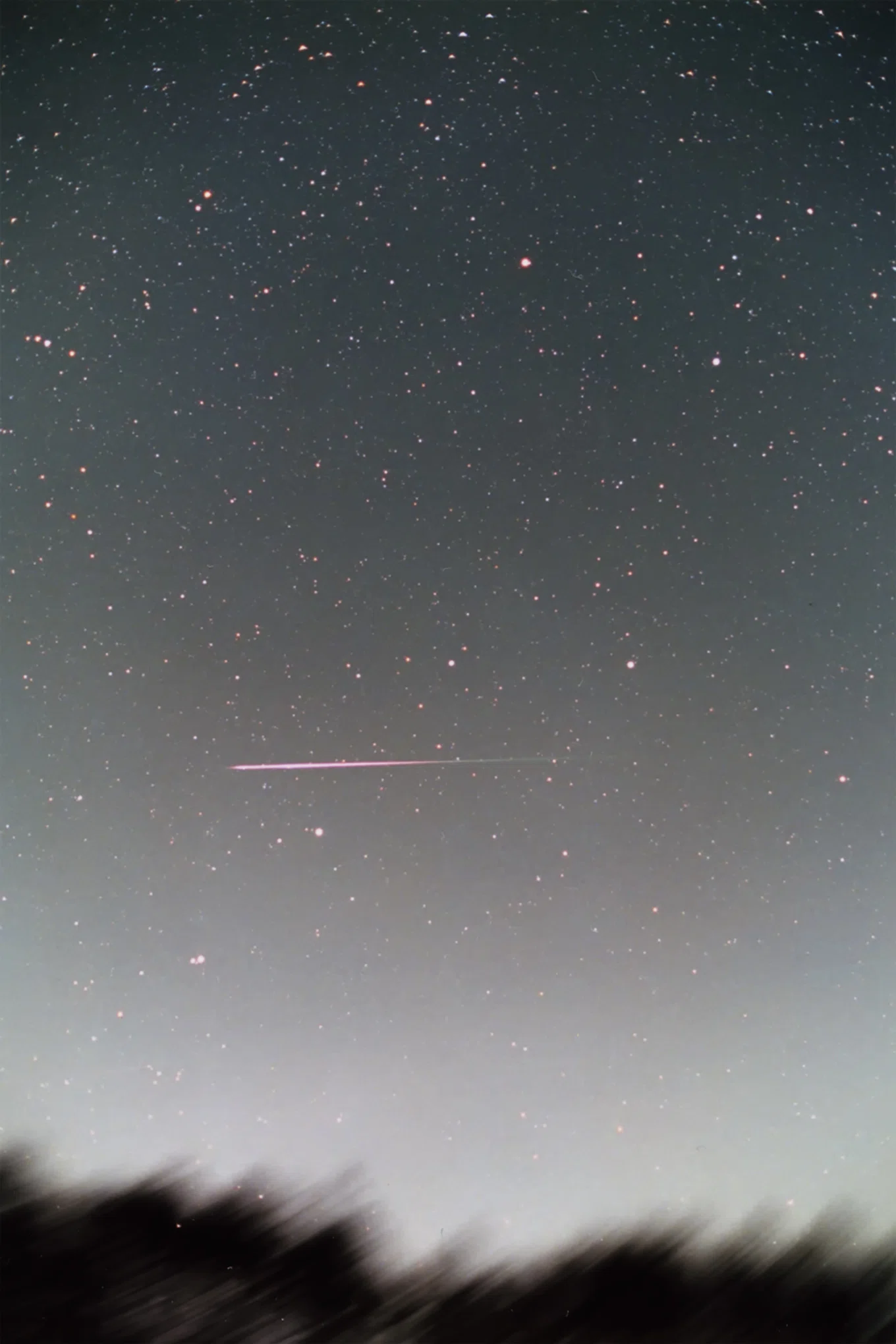 星の記憶帳～2001年11月18日しし座流星雨～｜星空写真家 × 会社役員